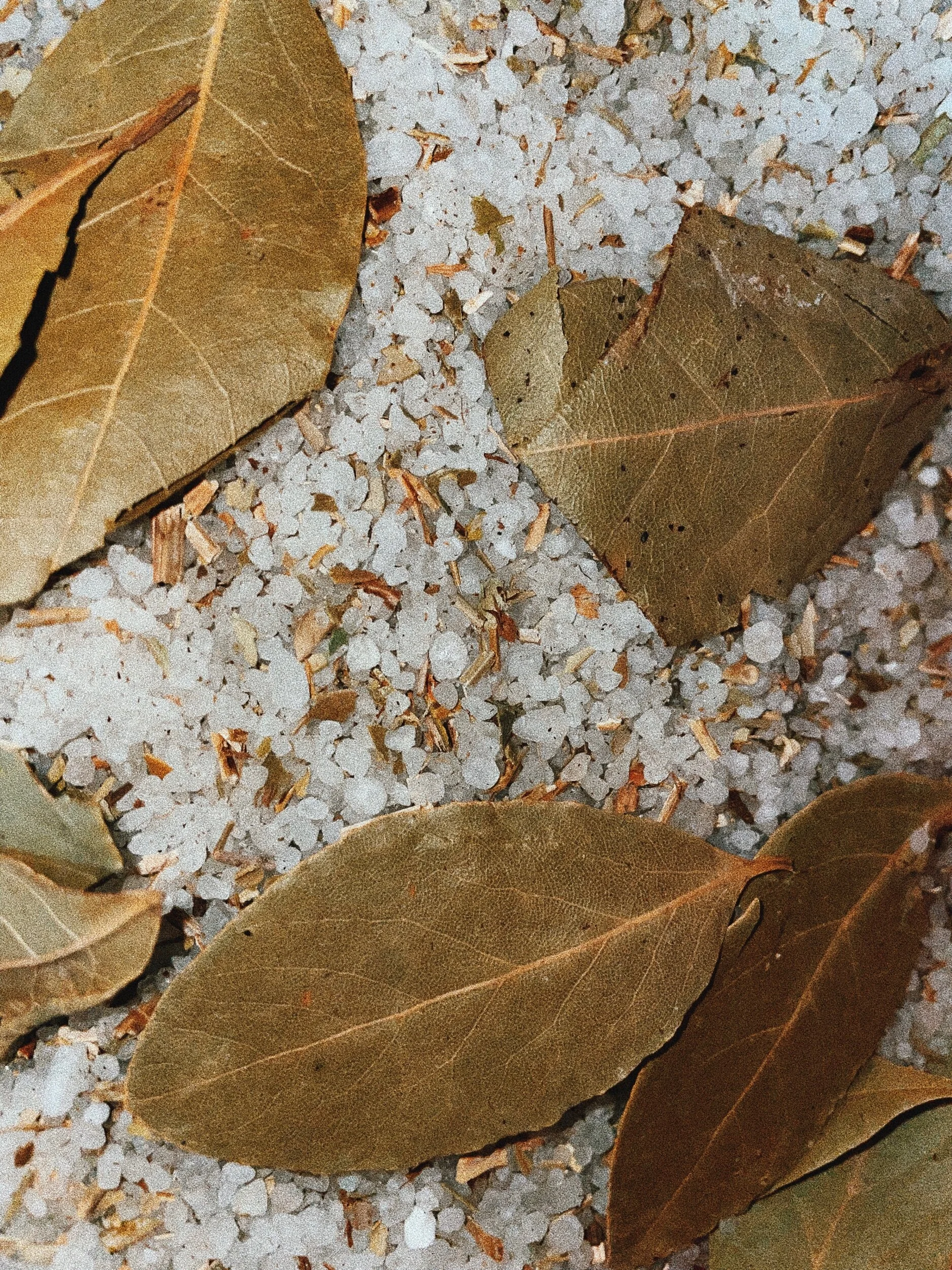 7D389666-2A15-4CDB-9DF4-D690773E7890