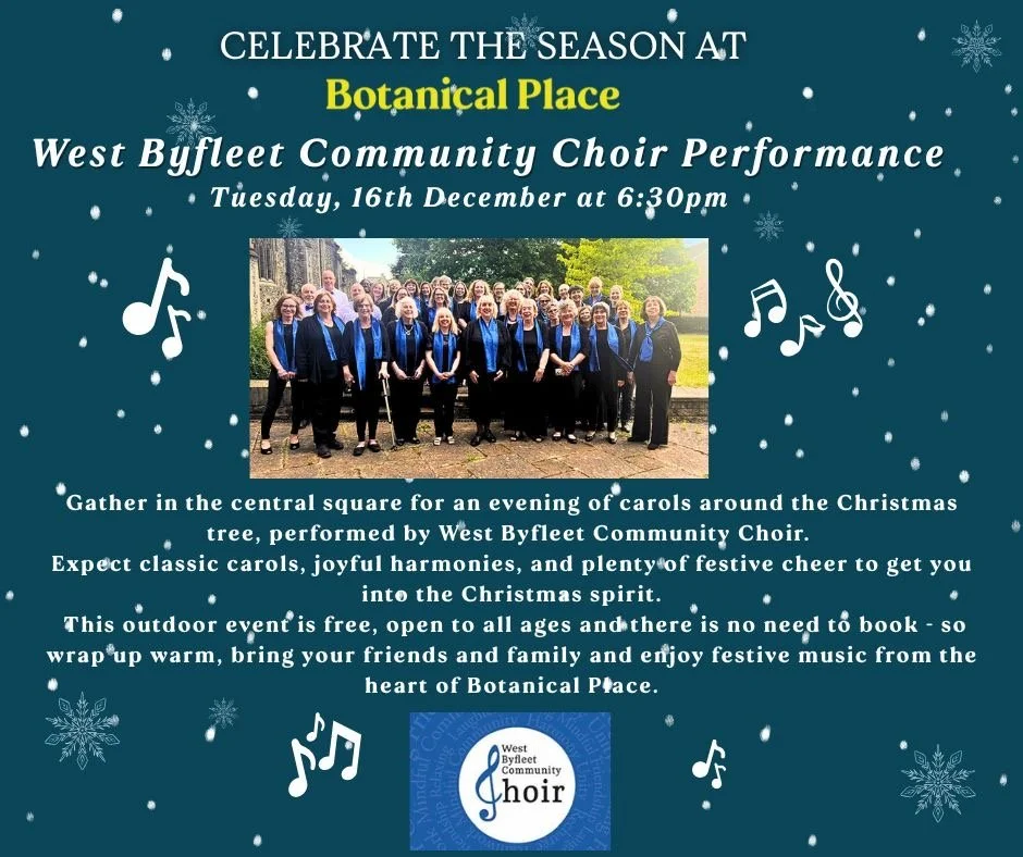 botannical plance.JPG