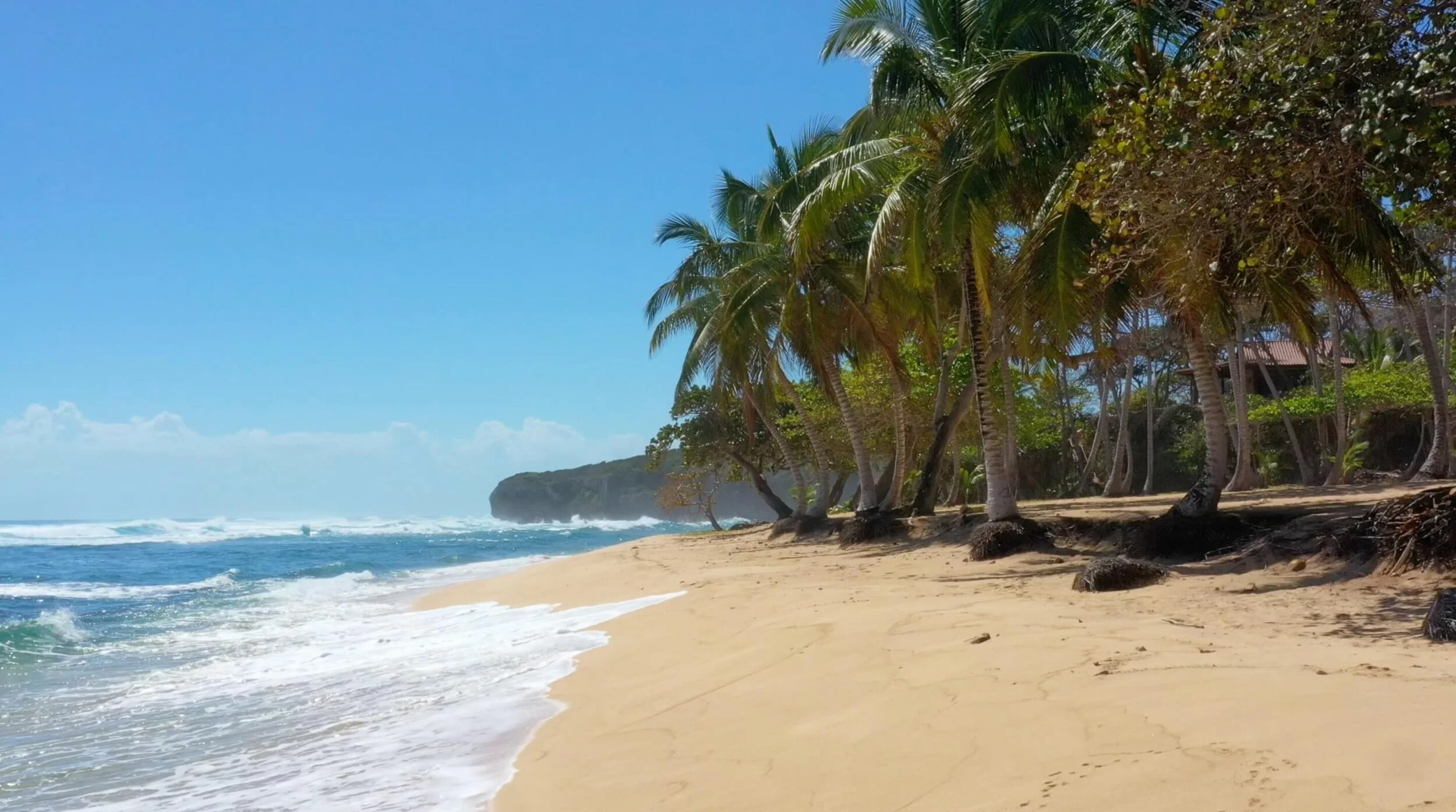 Airbnb Dominican Republic.jpeg