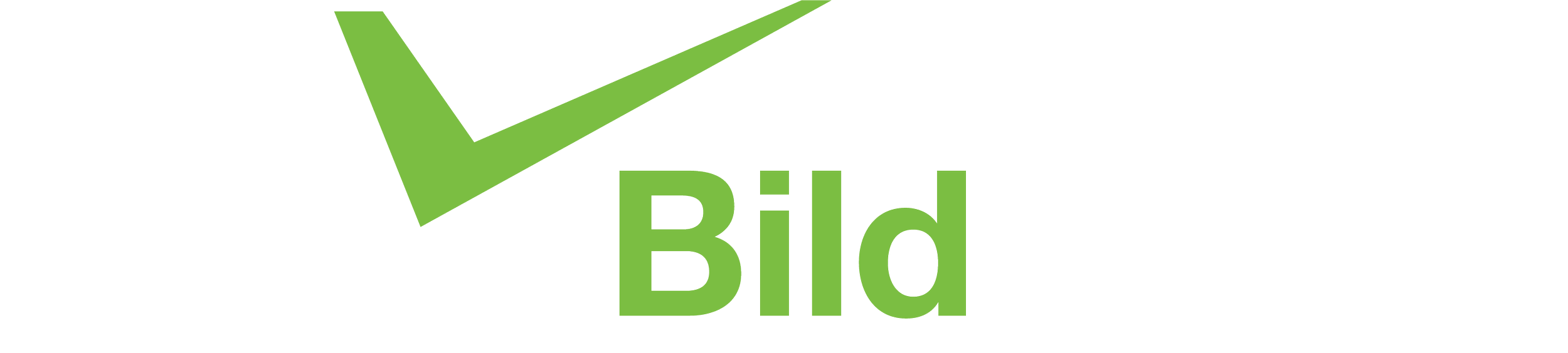BildGroup%20REV%20RGB%20logo.png