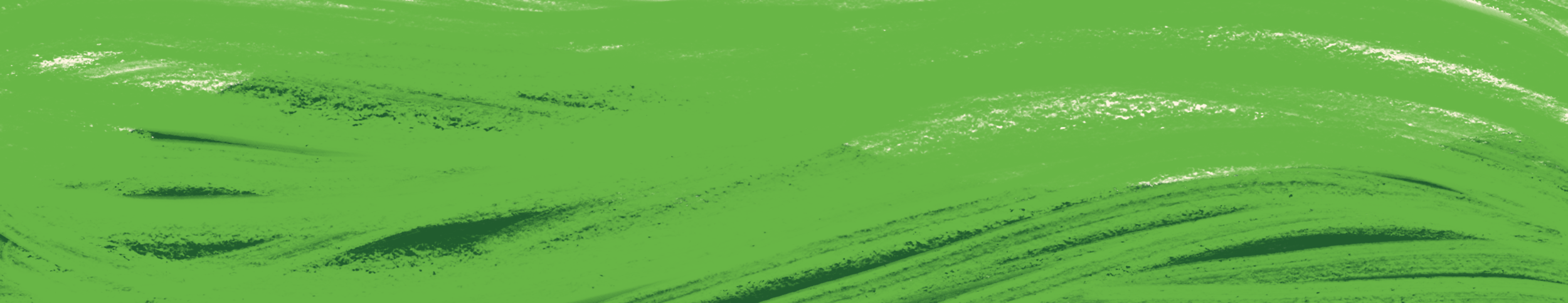 Untitled_Artwork 14.png