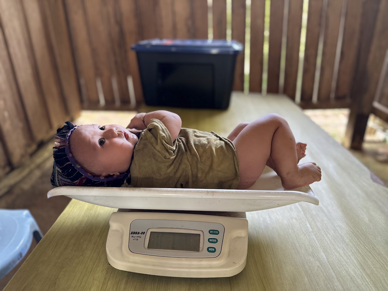 Baby scale.jpg