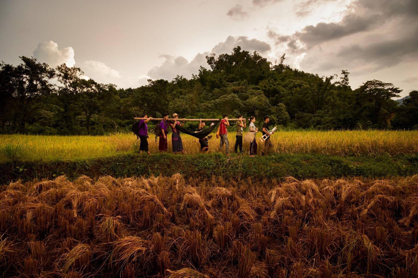 Jungle Book of Definitions