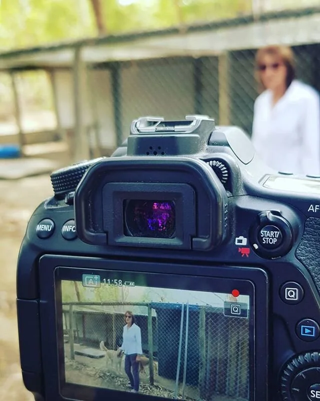 Recce on my new doco. Please like and follow @wild_ones_the_documentary 
Lovely pic with Ann at Crossroads Dingo Rescue.