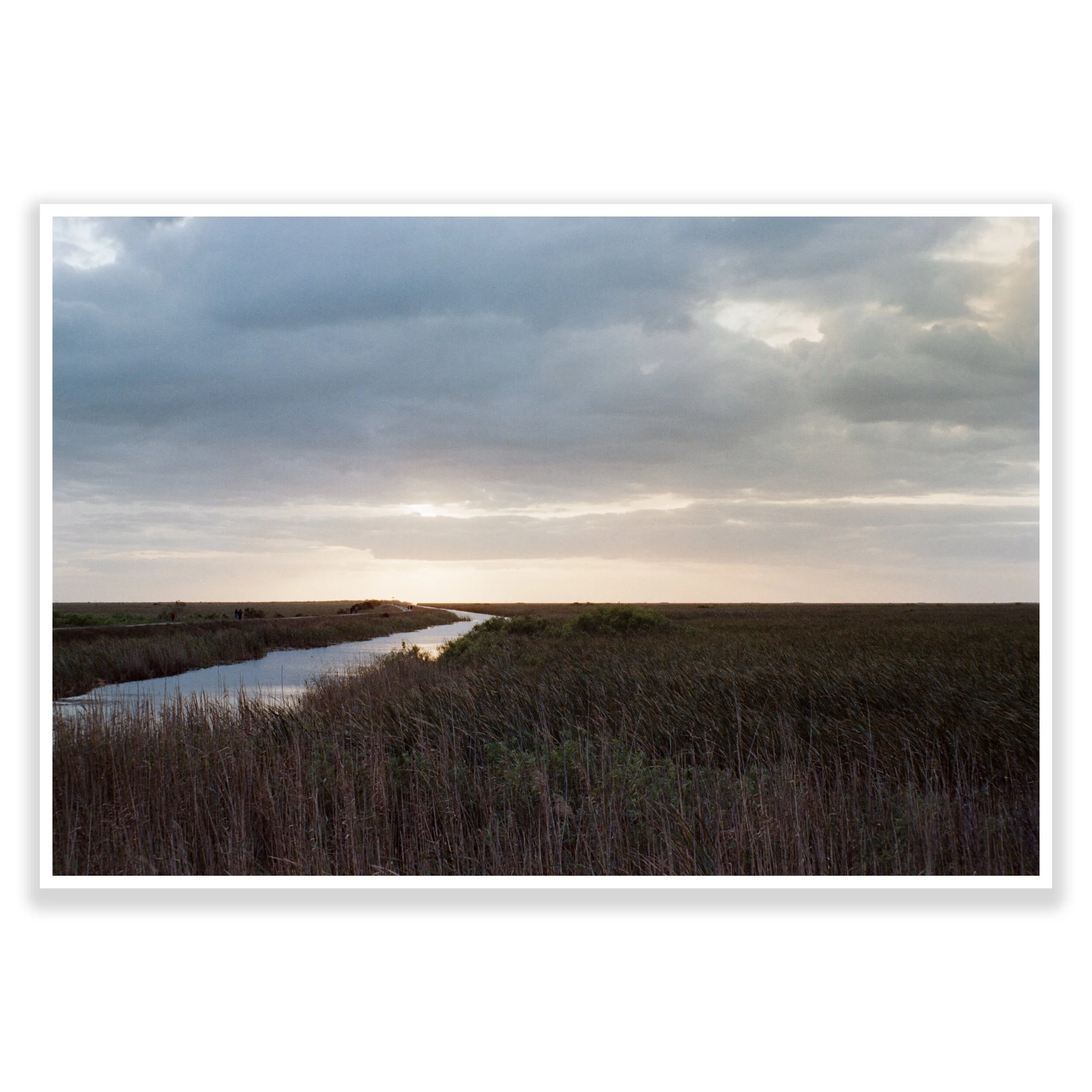 square sawgrass quarentine.jpg