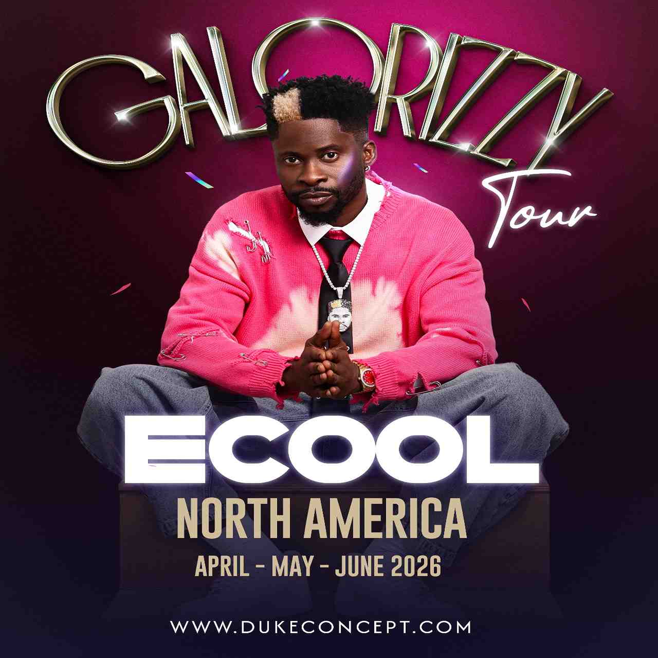 ECOOLGALORIZZYTOURv3 2.png