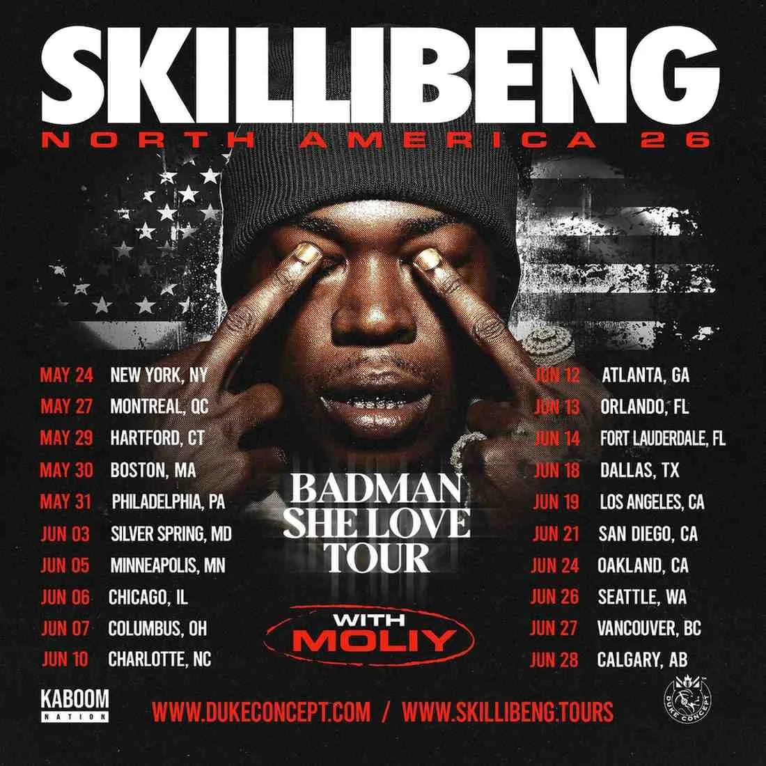 SKILLIBENG_1080x1080 (1).jpg