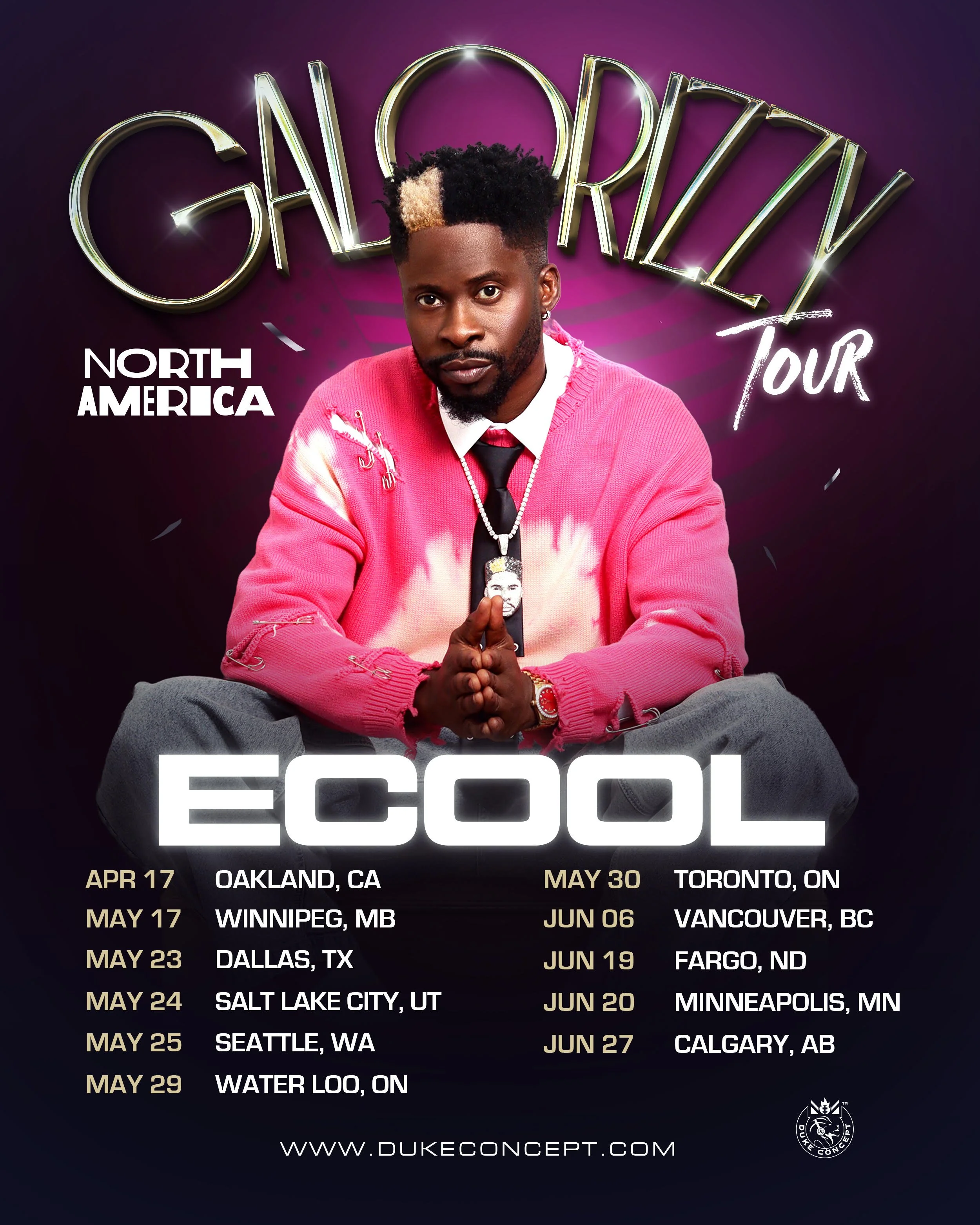 DJ ECOOL GALORIZZY TOUR.jpg