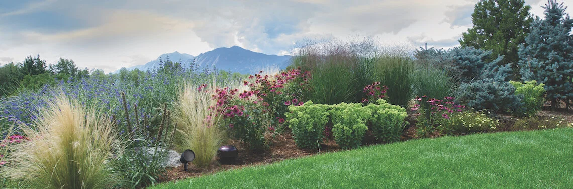Sonance landscape.jpg
