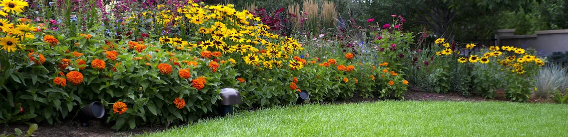 Sonance landscape 2.jpg