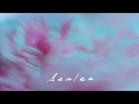 米津玄師 Kenshi Yonezu - Azalea — YUKA YAMAGUCHI