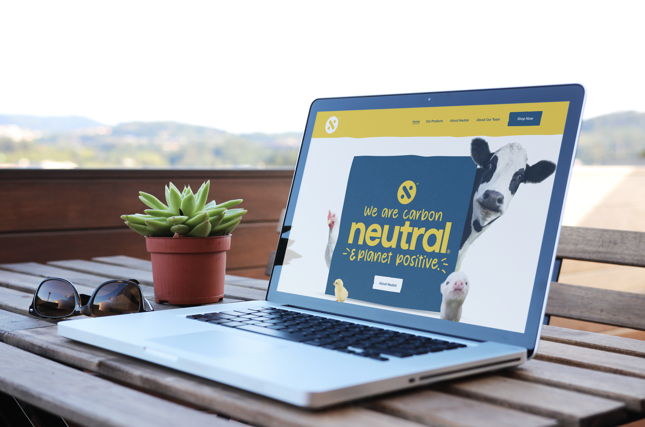 Screen Shot 2023-07-17 at 5.30.40 PM.png