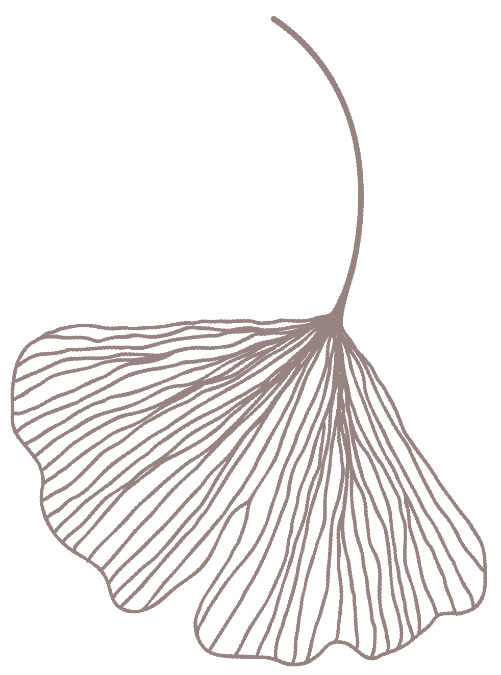 nia-gingko-leaf-pink-09.png