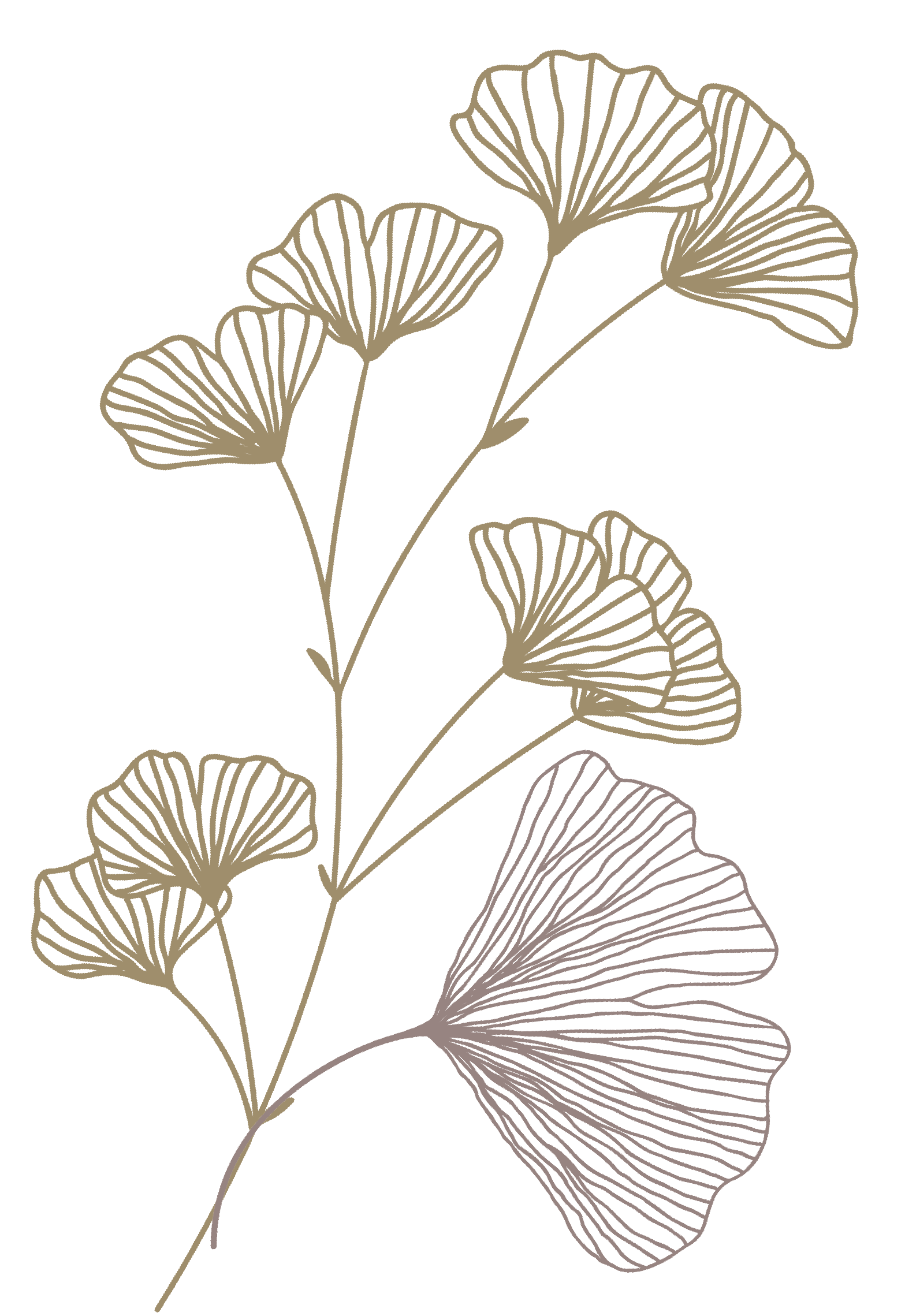 nia-contact-page-gingko-gold-pink-08.png