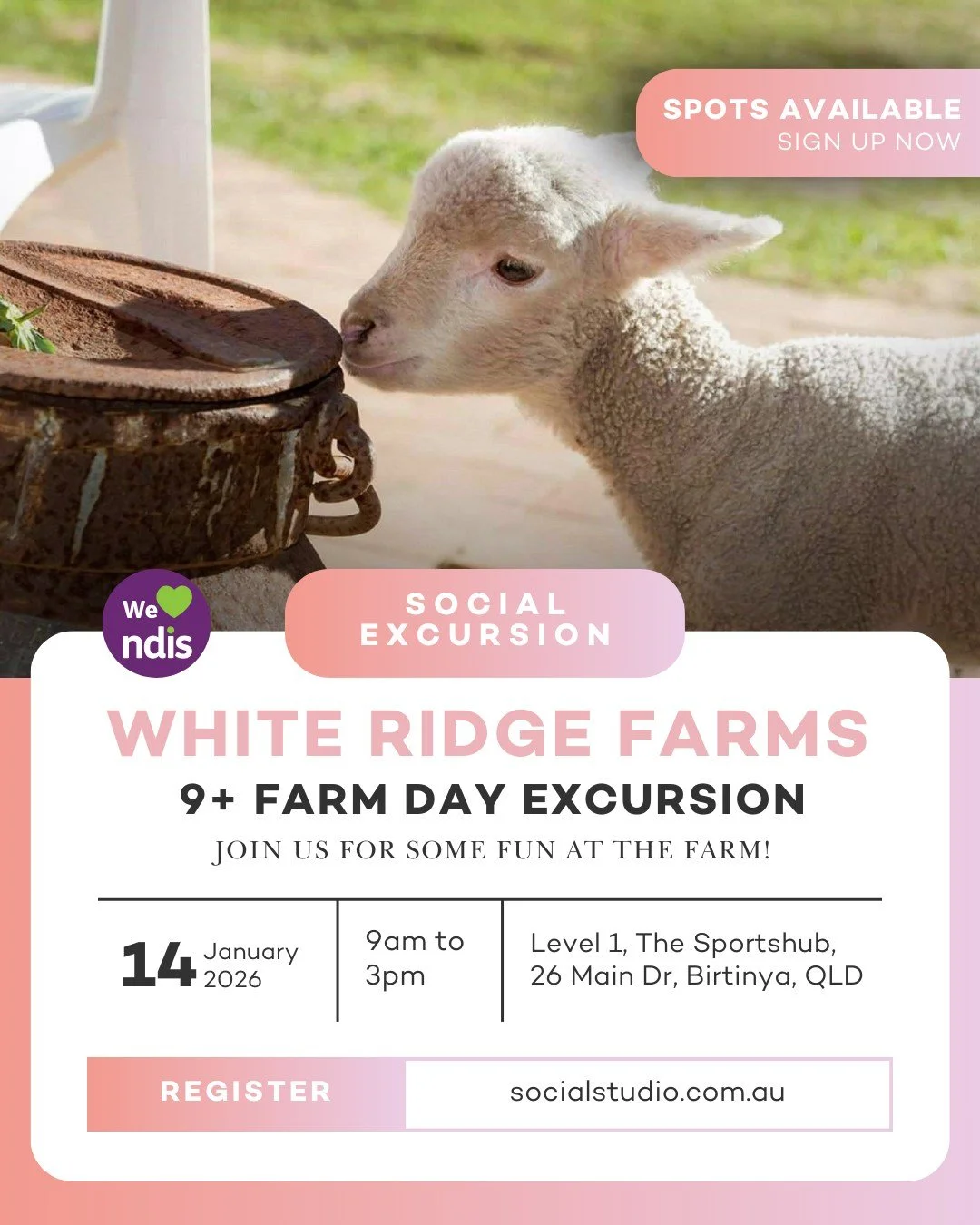 Get up close with some furry friends at our White Ridge Farms farm day on January 14th! This excursion is packed with outdoor fun and animal encounters for everyone aged 9 and up. Add some animal fun to your school holidays, head to our website and b