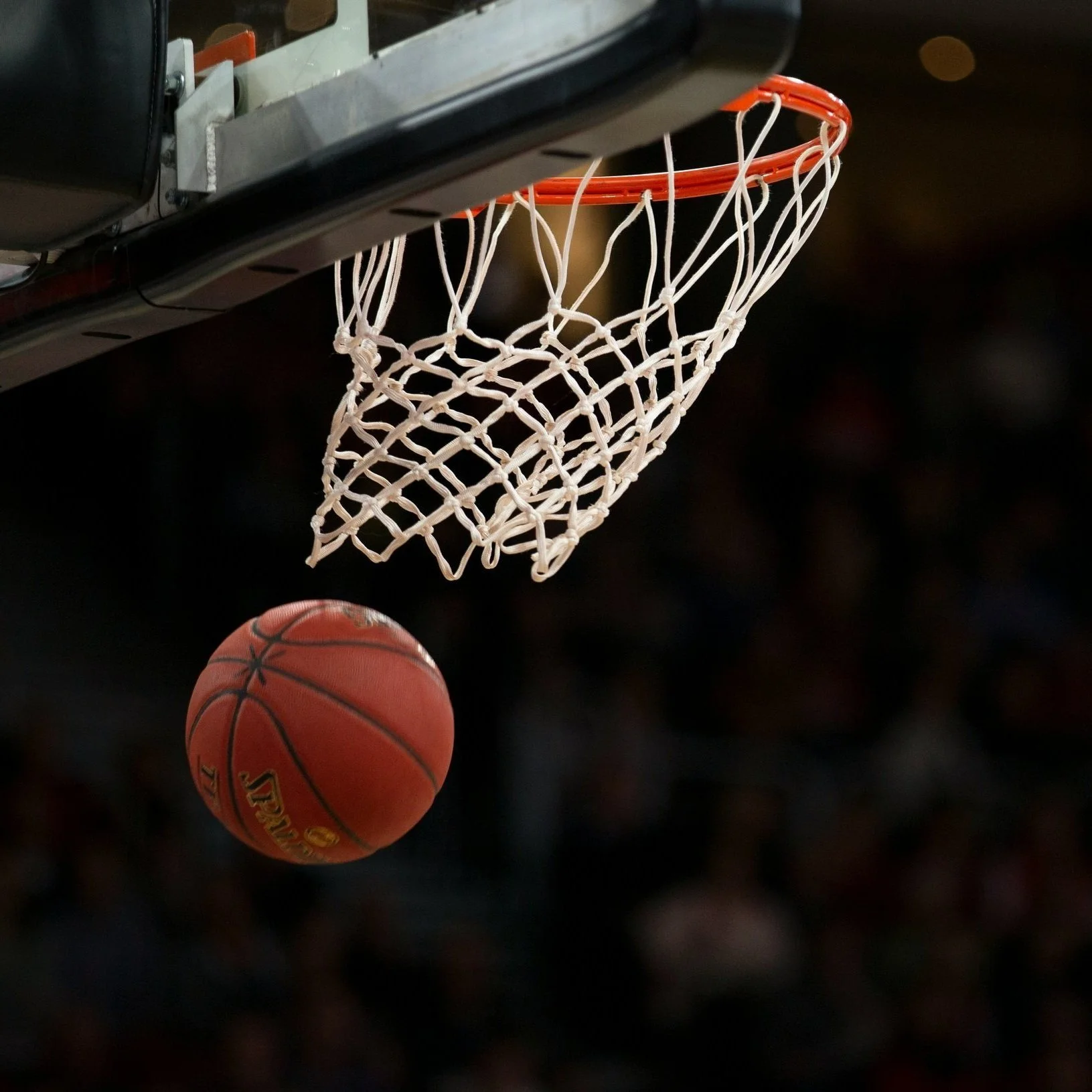 Casual Neurodiverse Basketball Social Studio Sunshine Coast