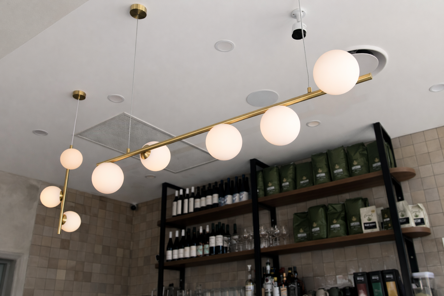 ChatGPT Image Feb 19, 2026, 11_02_15 AM.png