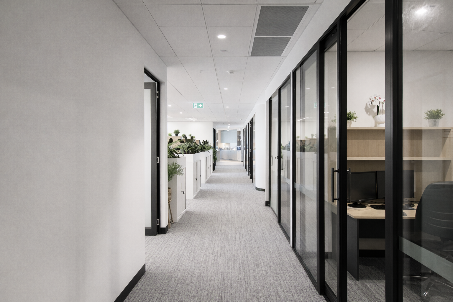 ChatGPT Image Feb 13, 2026, 04_36_27 PM.png