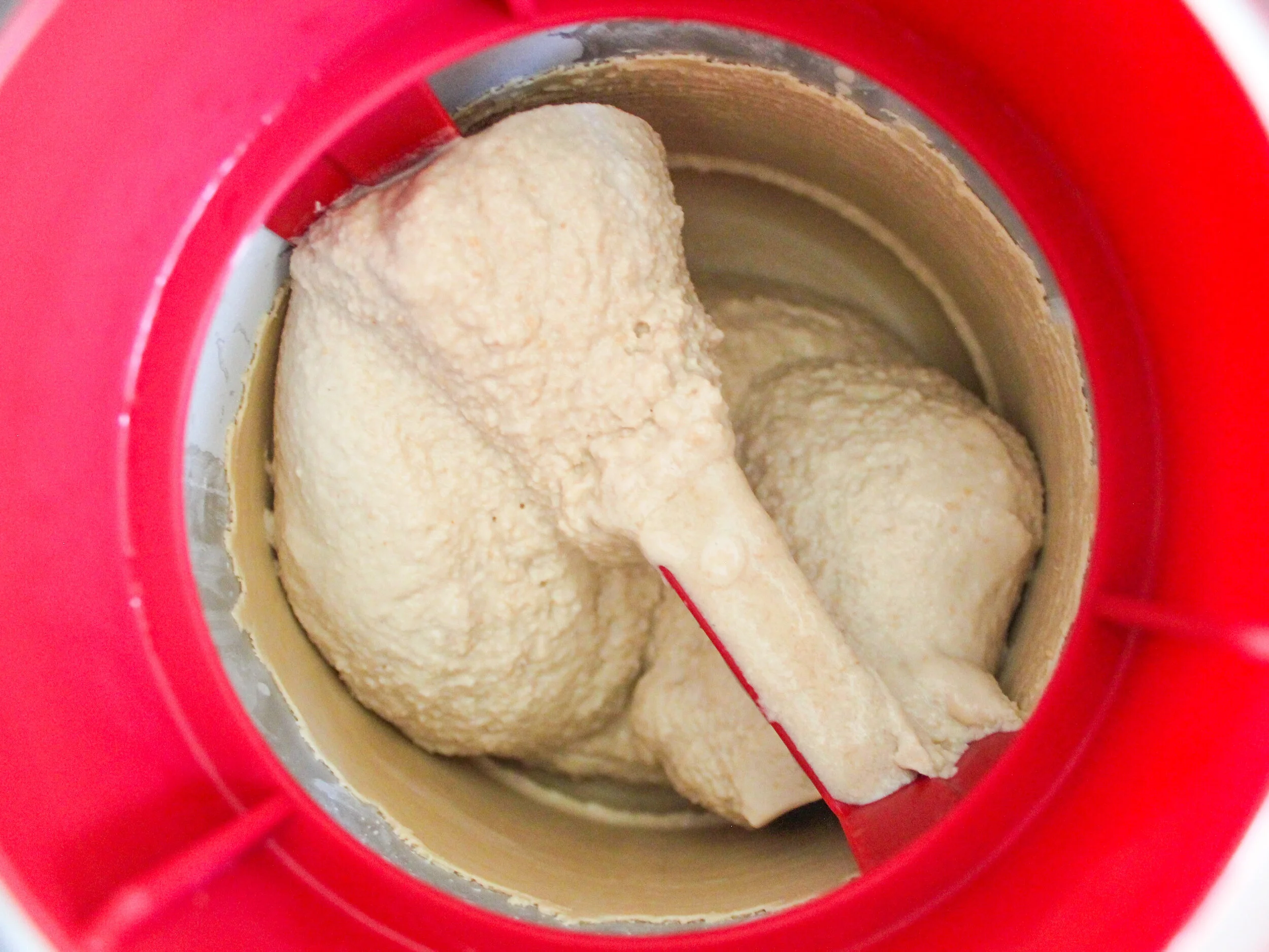 Vegan Coconut Sugar Ice Cream — salt n sprinkles