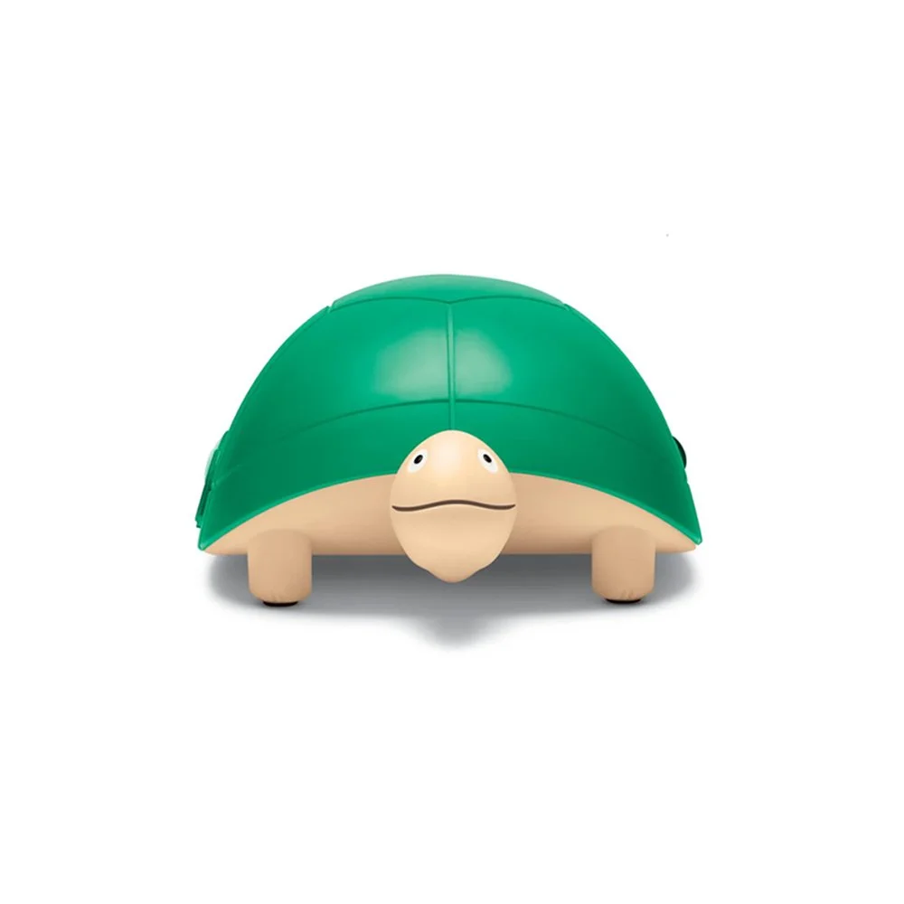 neb-turtle-02.jpg