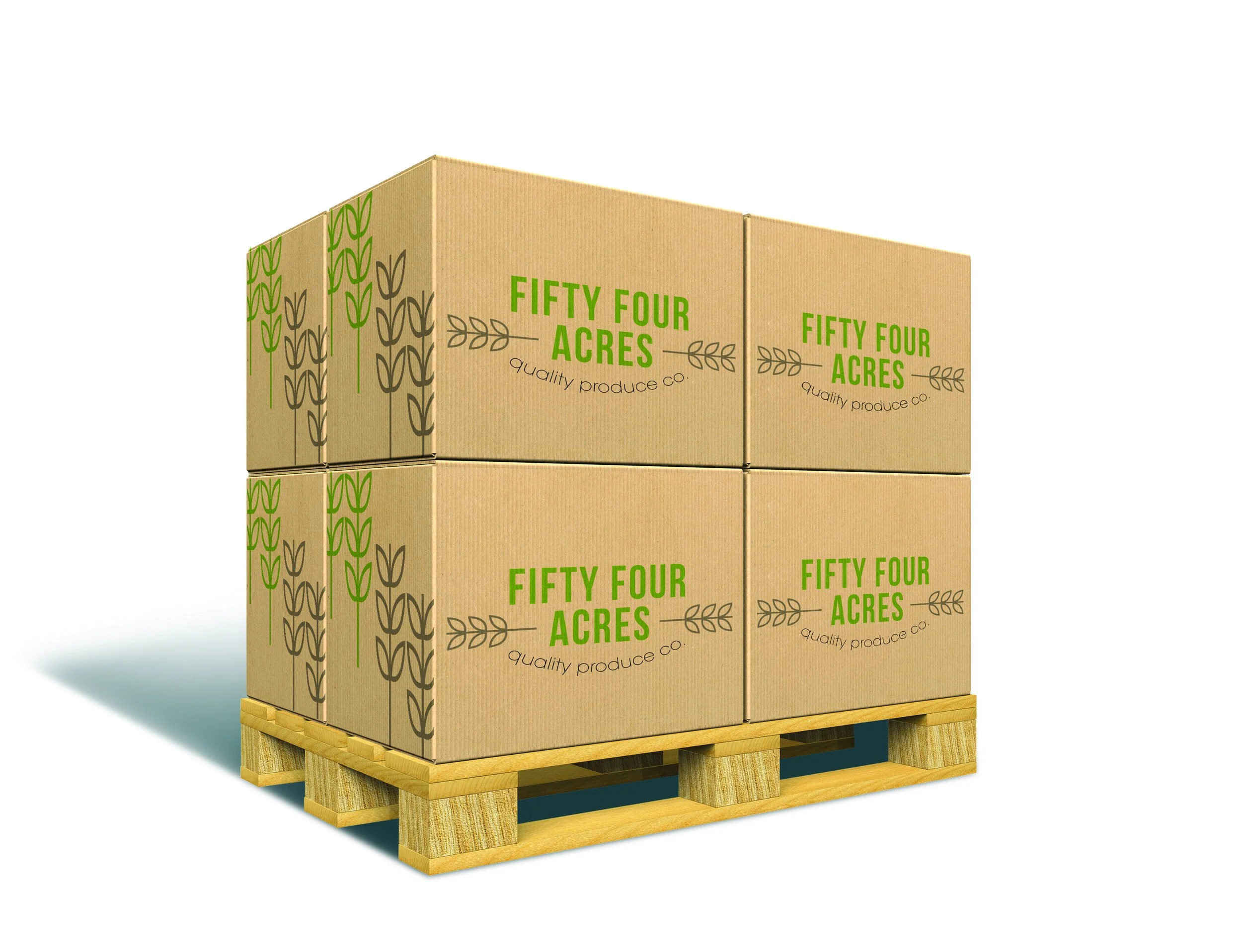 cardboard.jpg
