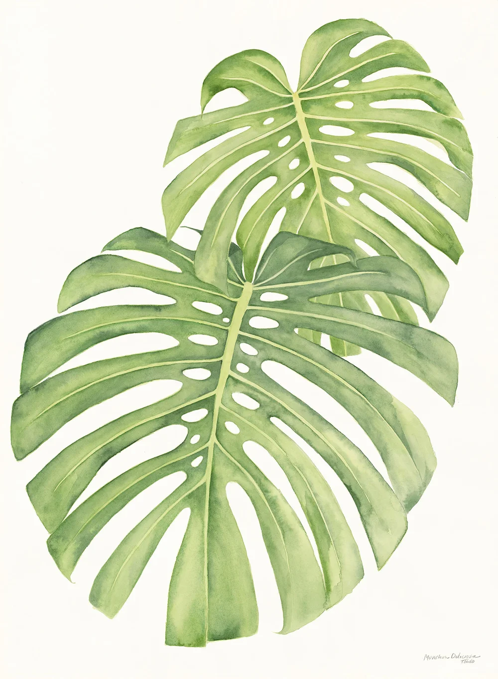 Monstera Deliciosa Print Home Decor  Live The Todo List