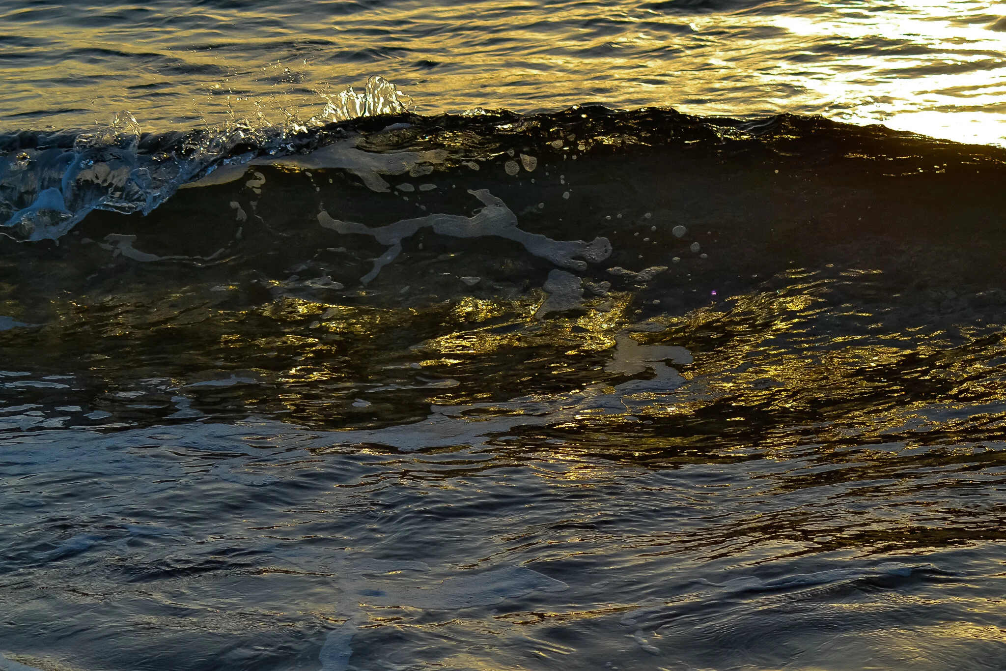 DSC_0729 copy.jpg