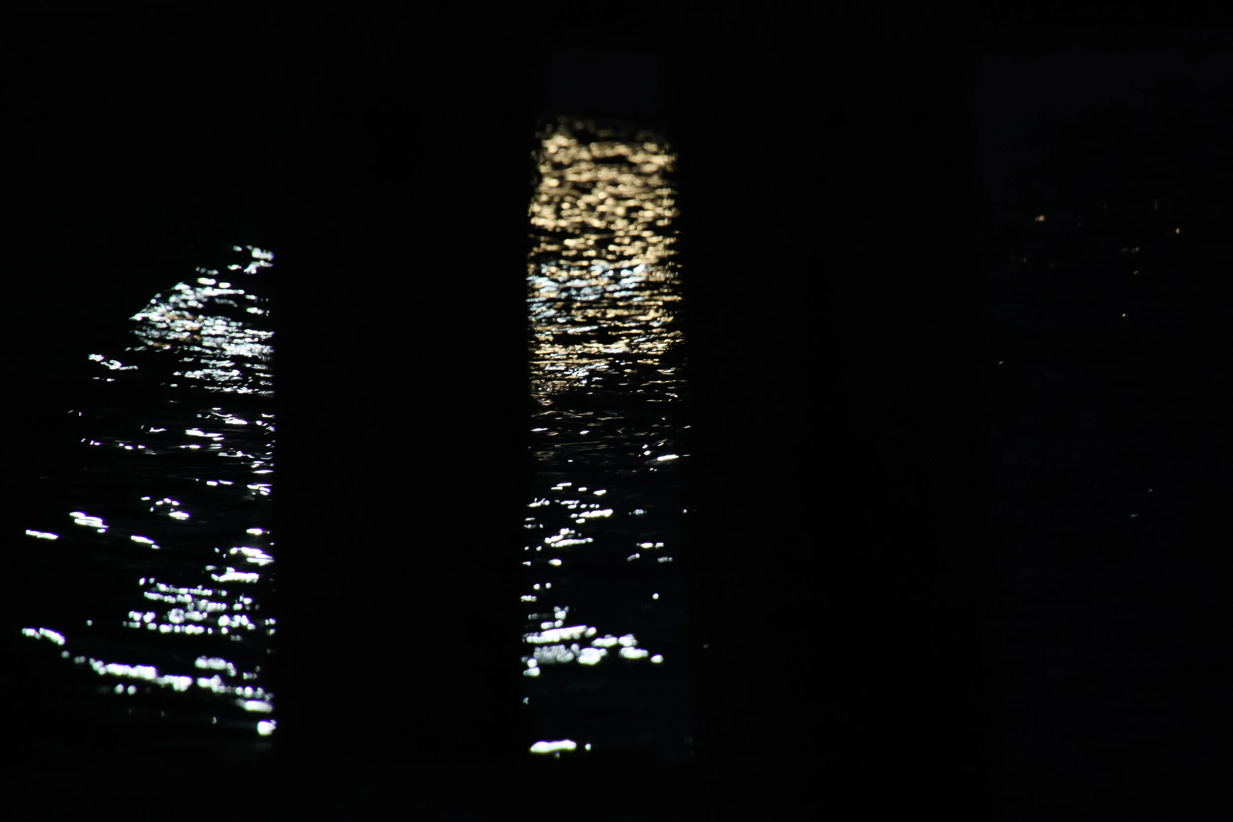 IMG_9126 copy.jpg