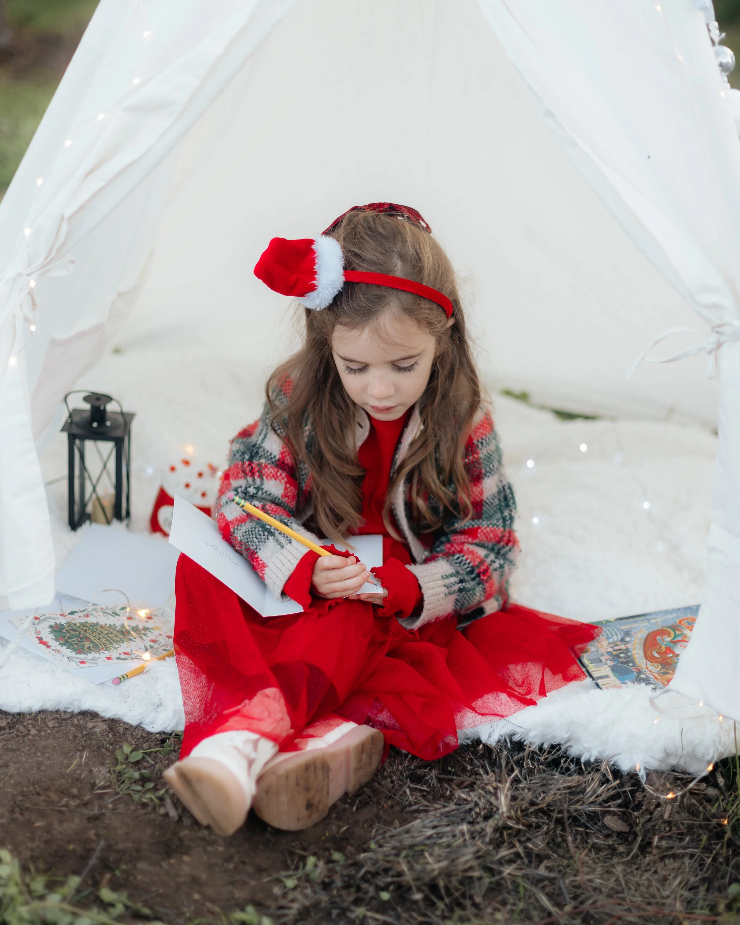 Alhambra Christmas Tree Farm Martinez.jpg