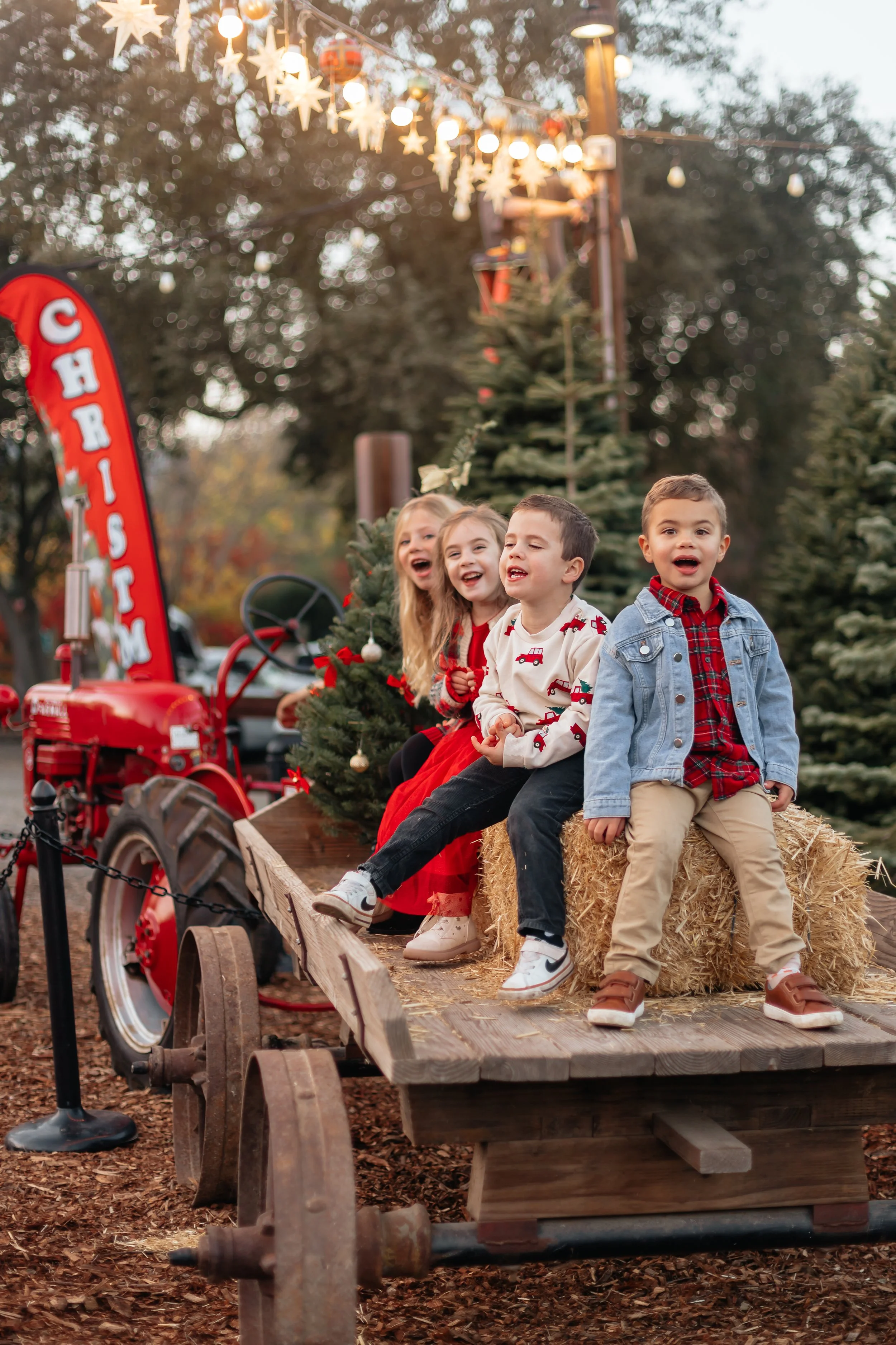 Alhambra Christmas Tree Farm Martinez-63.jpg