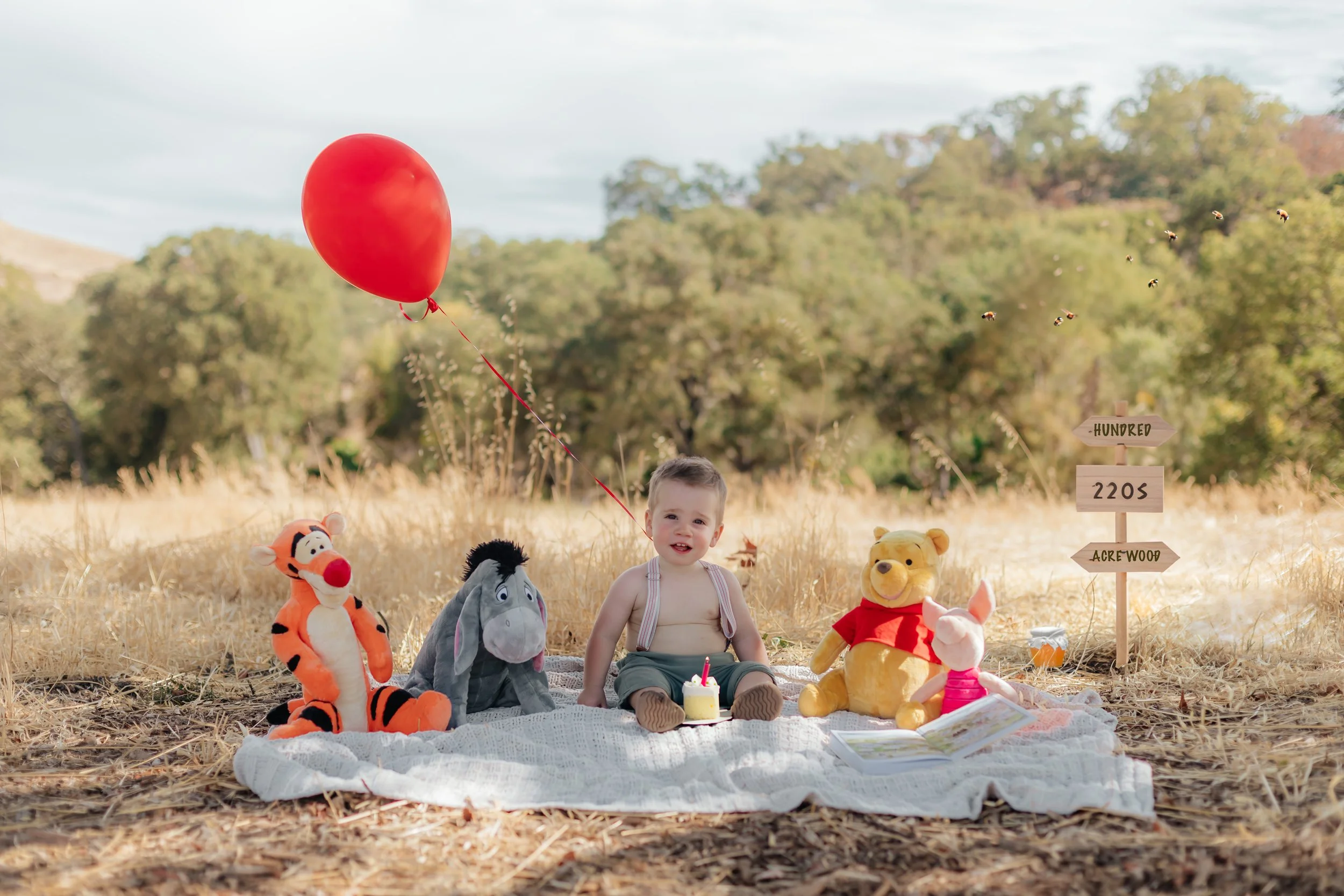 Winnie the Pooh Cake Smash