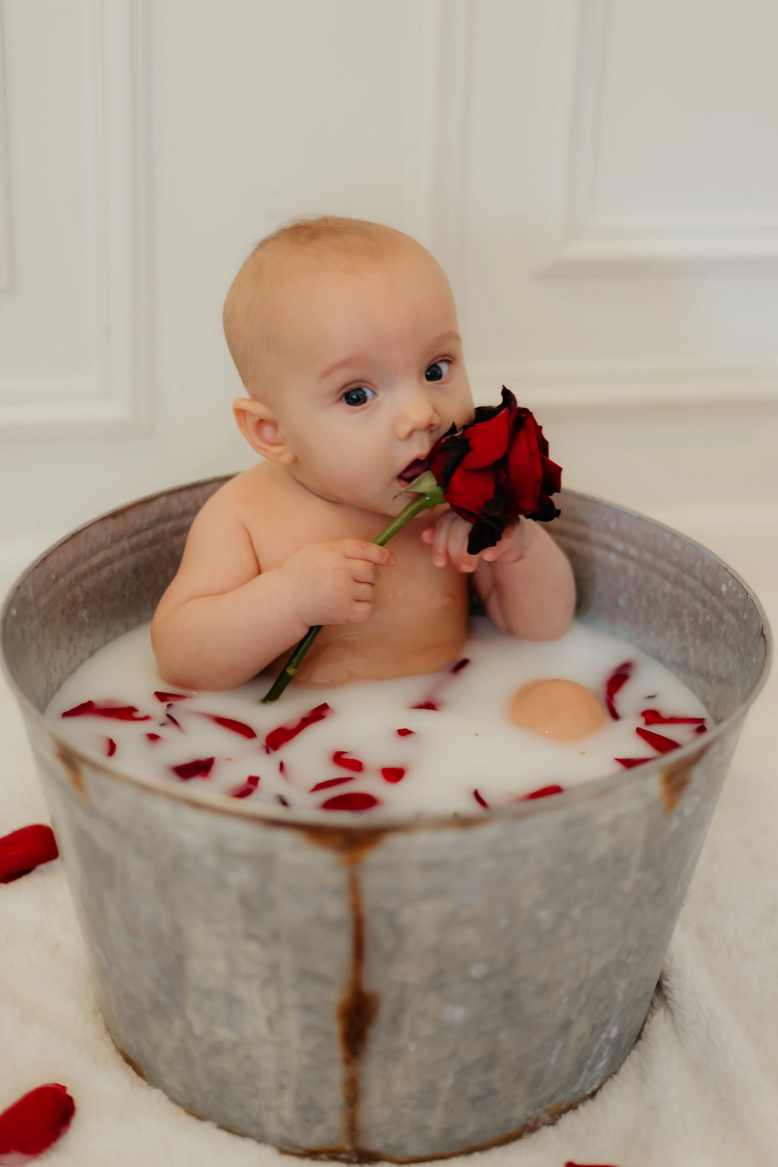 Valentine's Day baby Milk bath with Roses + XOXO mirror