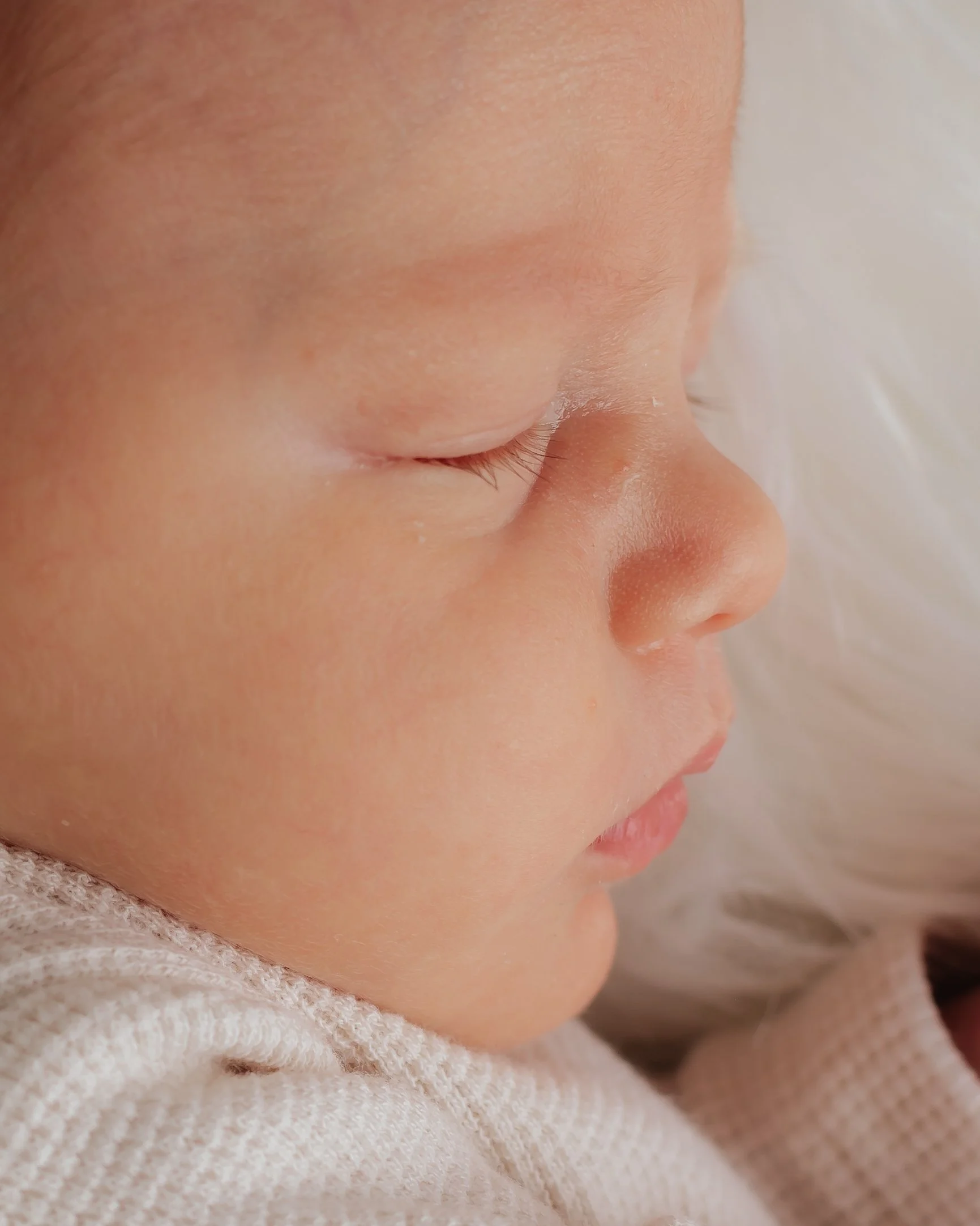 Newborn Studio Portraits Martinez-11.jpg