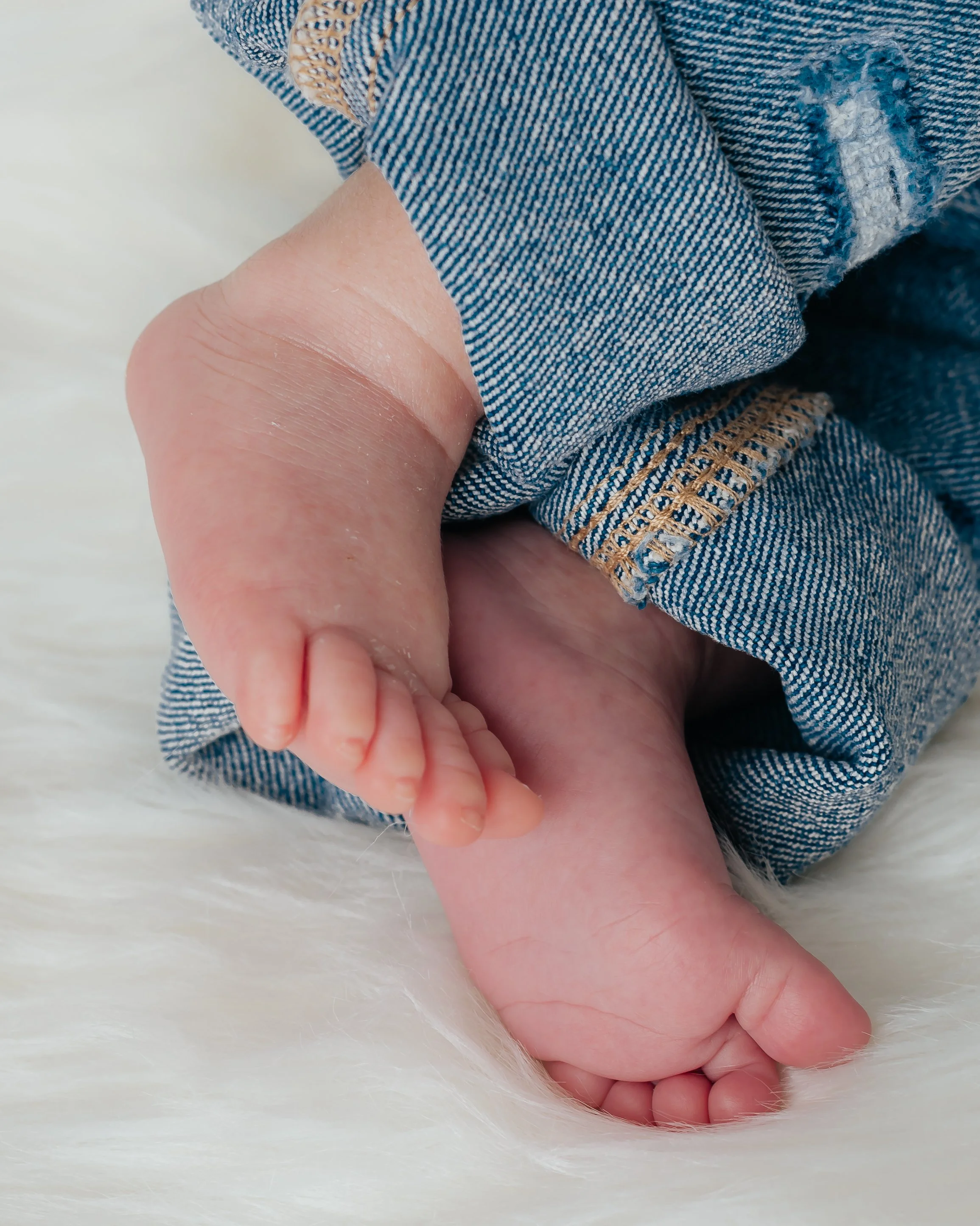Newborn Studio Portraits Martinez-8.jpg