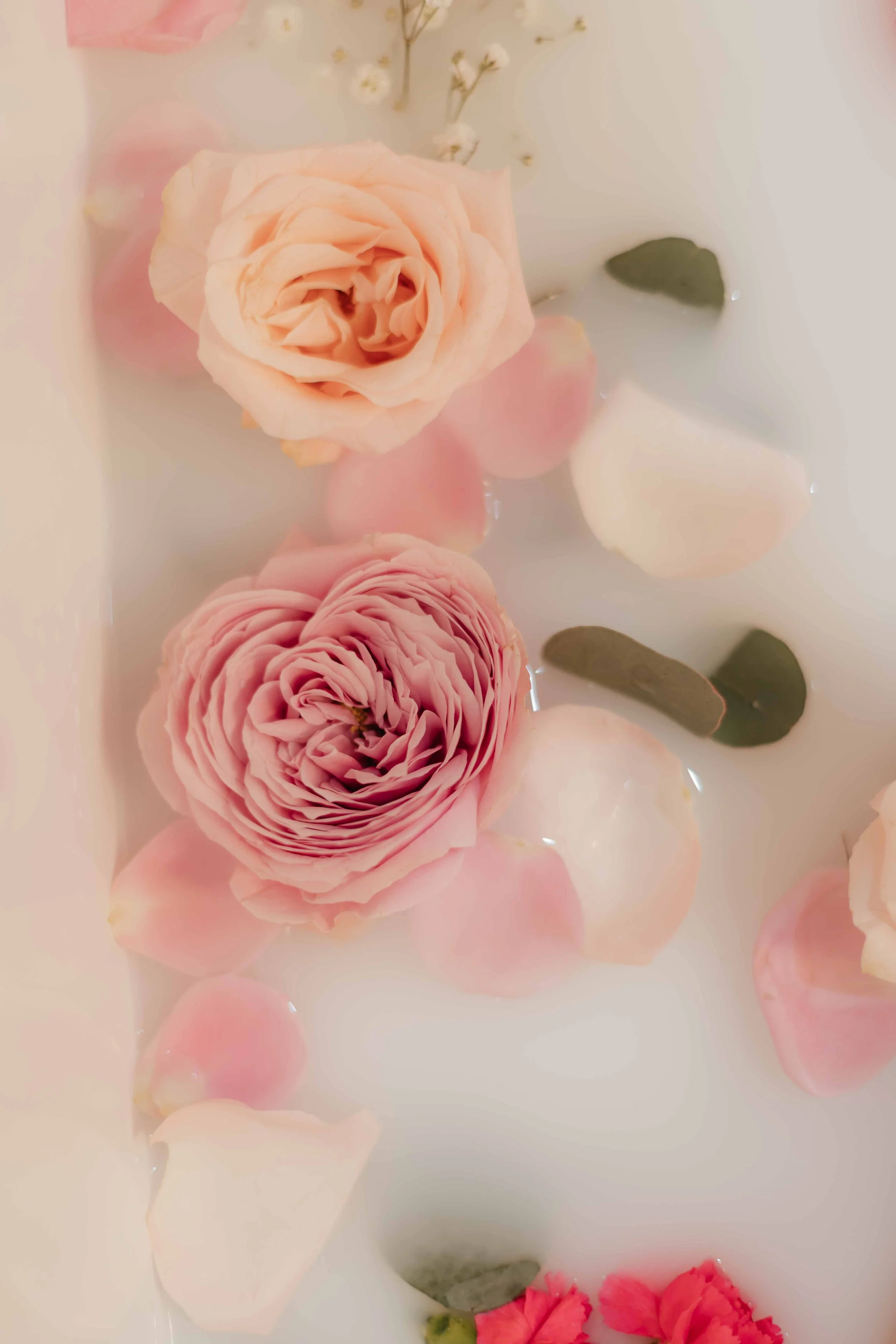 Athena Galgiani Photography Floral Maternity Milk Bath Martinez CA-8.jpg