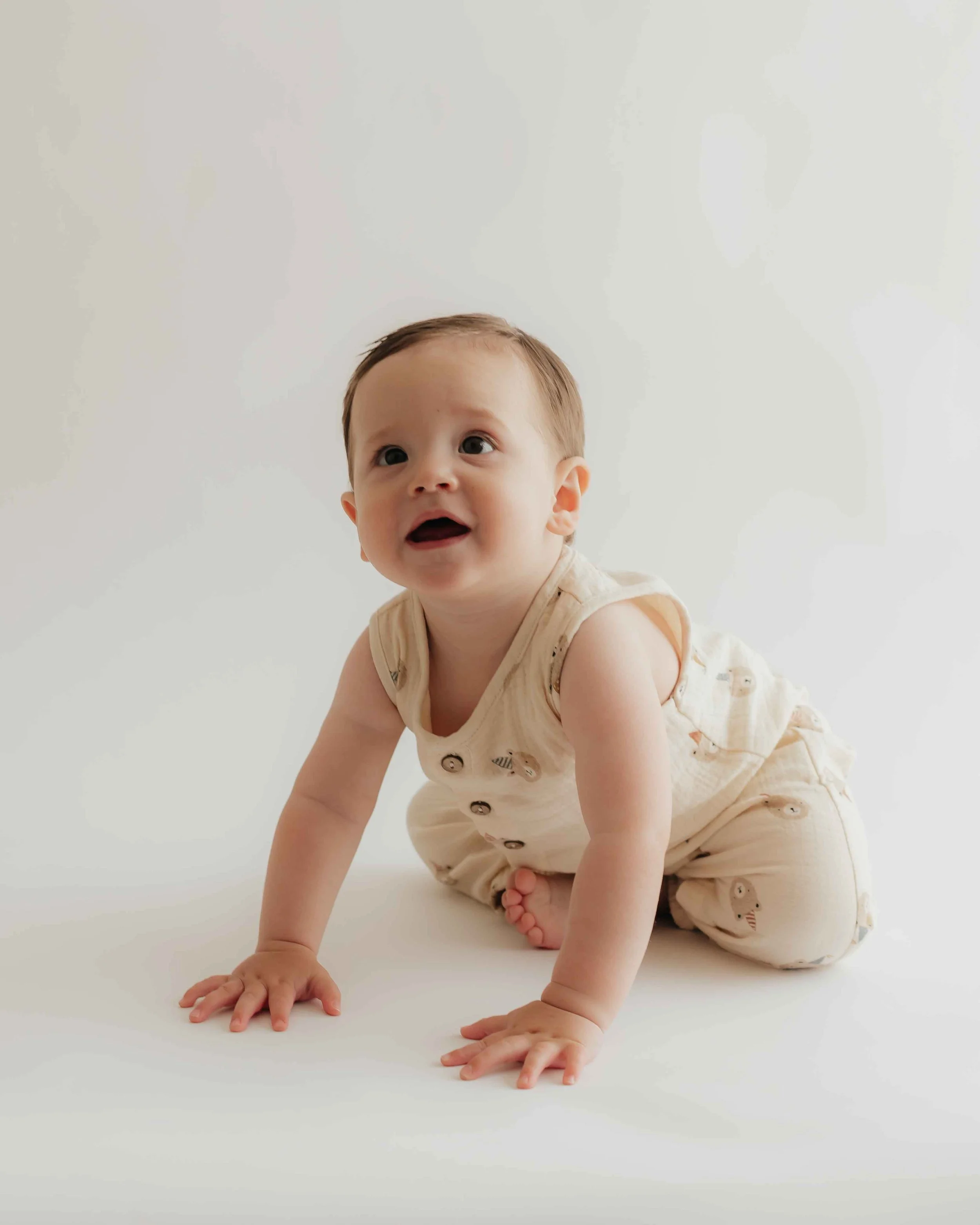 one year old birthday photo portrait east bay area photographer with studio