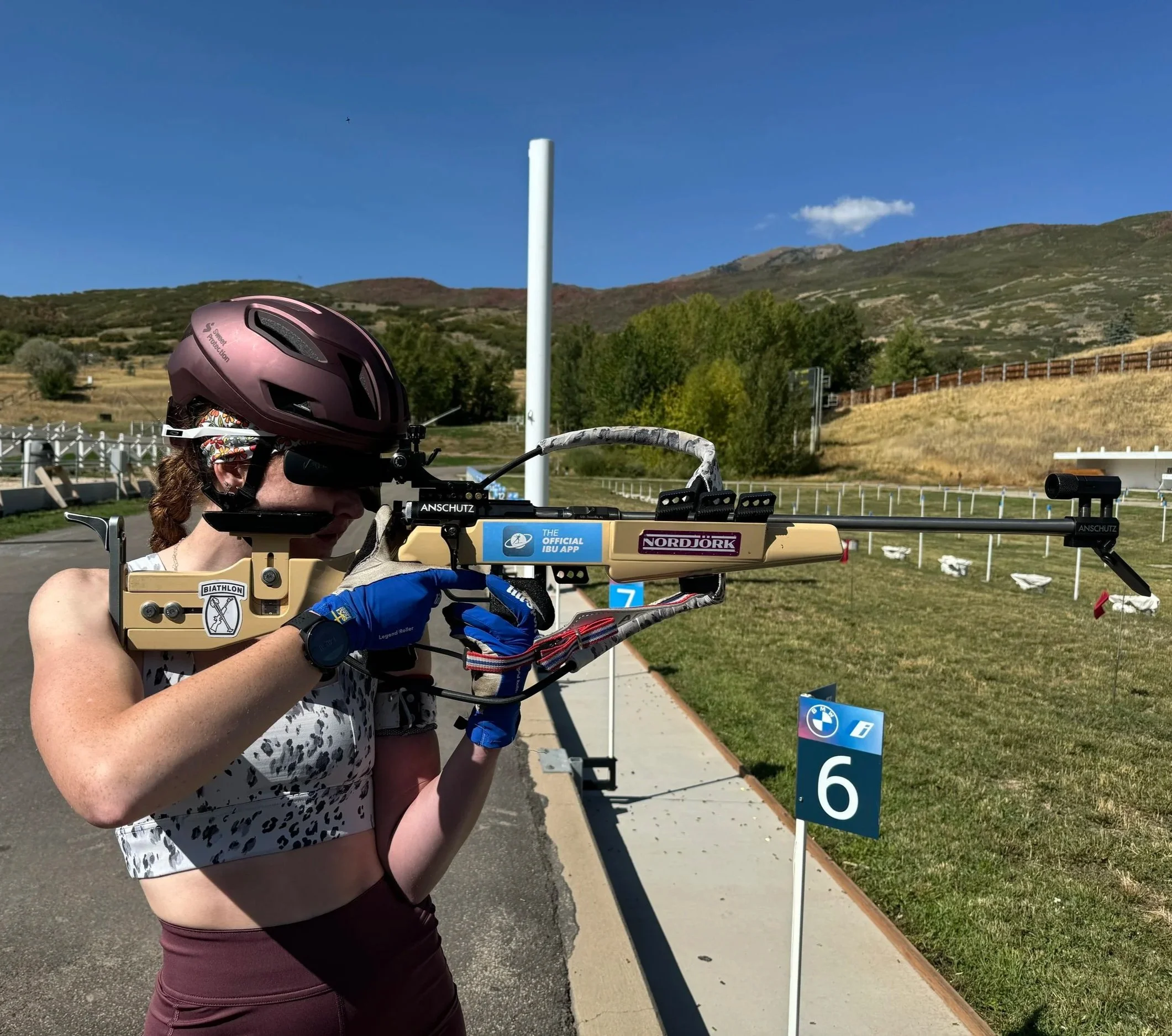 A Biathlon Rifle is a Billboard