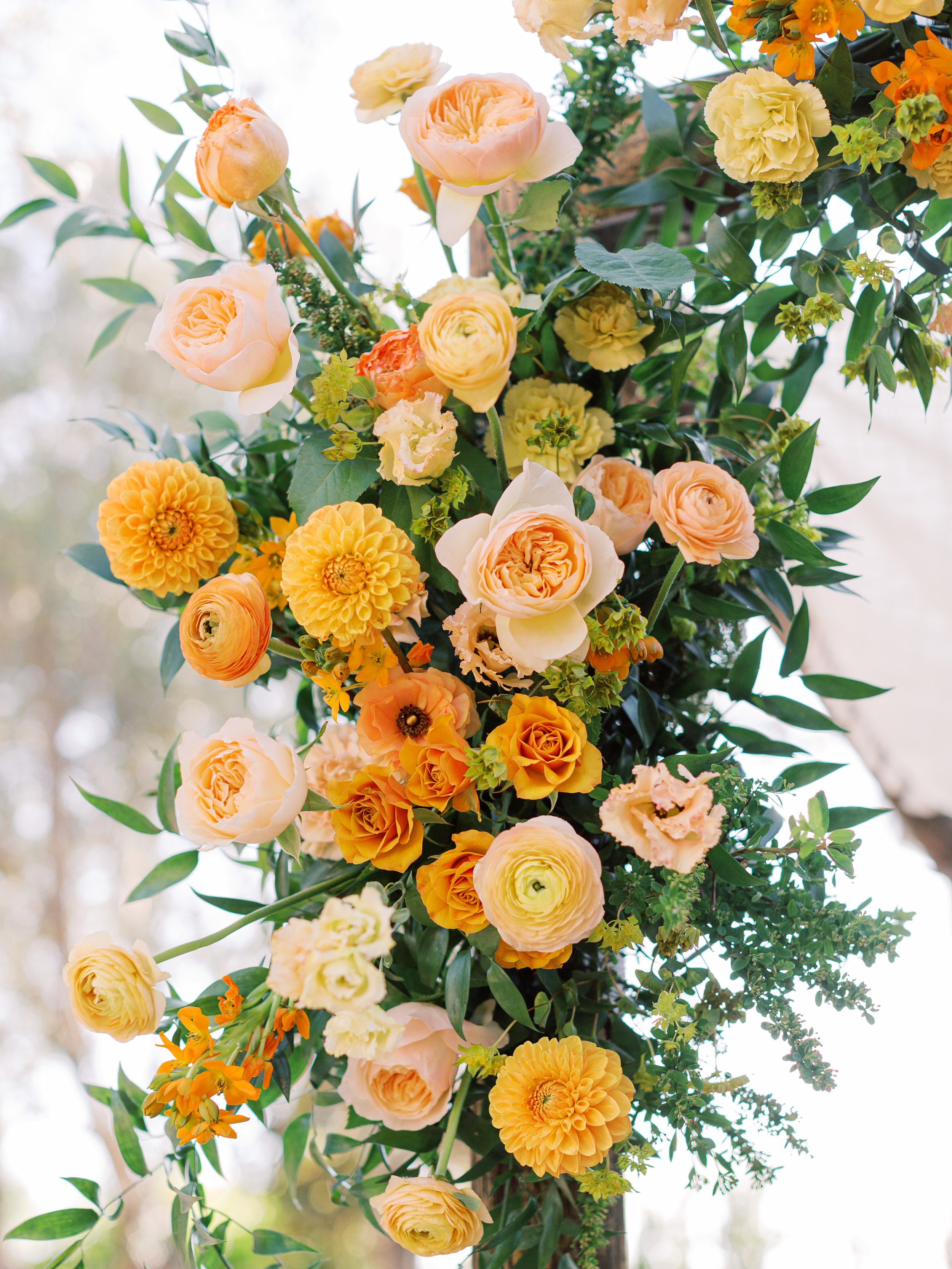 MLP-Ariana-Patrick-Grand-Gimeno-Orange-Wedding-Sneaks-99.jpg