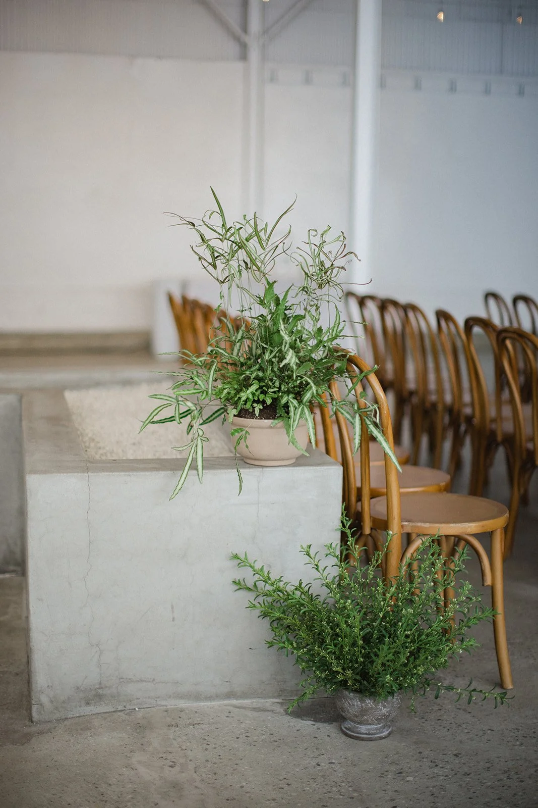Anne & Tim-Wedding-1264.jpg
