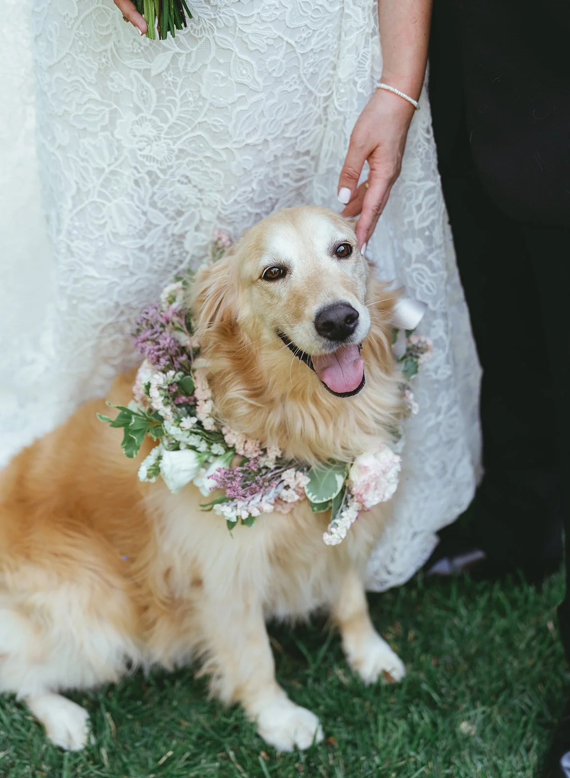 2507_azi-areg-wedding-sneak-28.jpg
