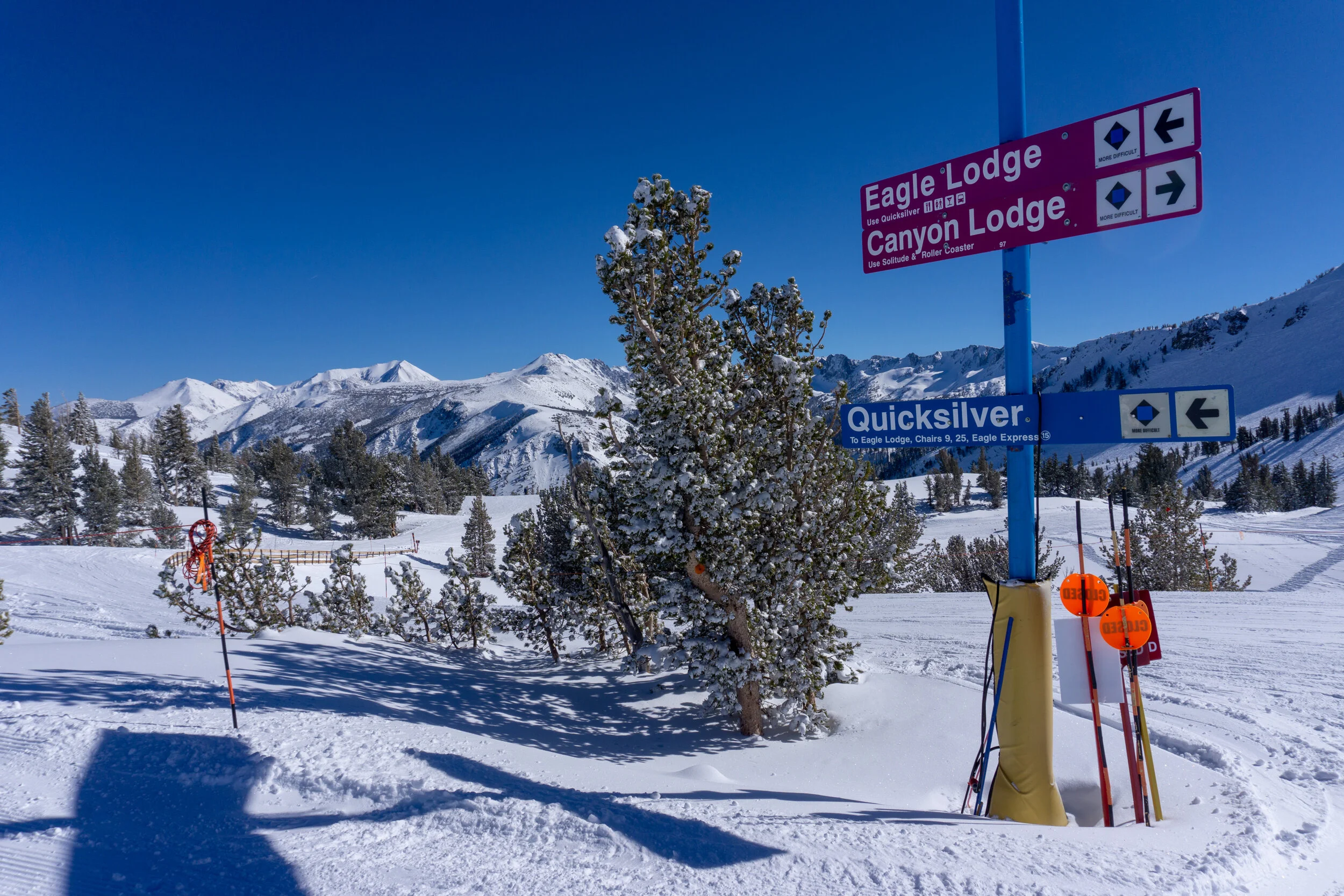 Mammoth (34 of 52).jpg