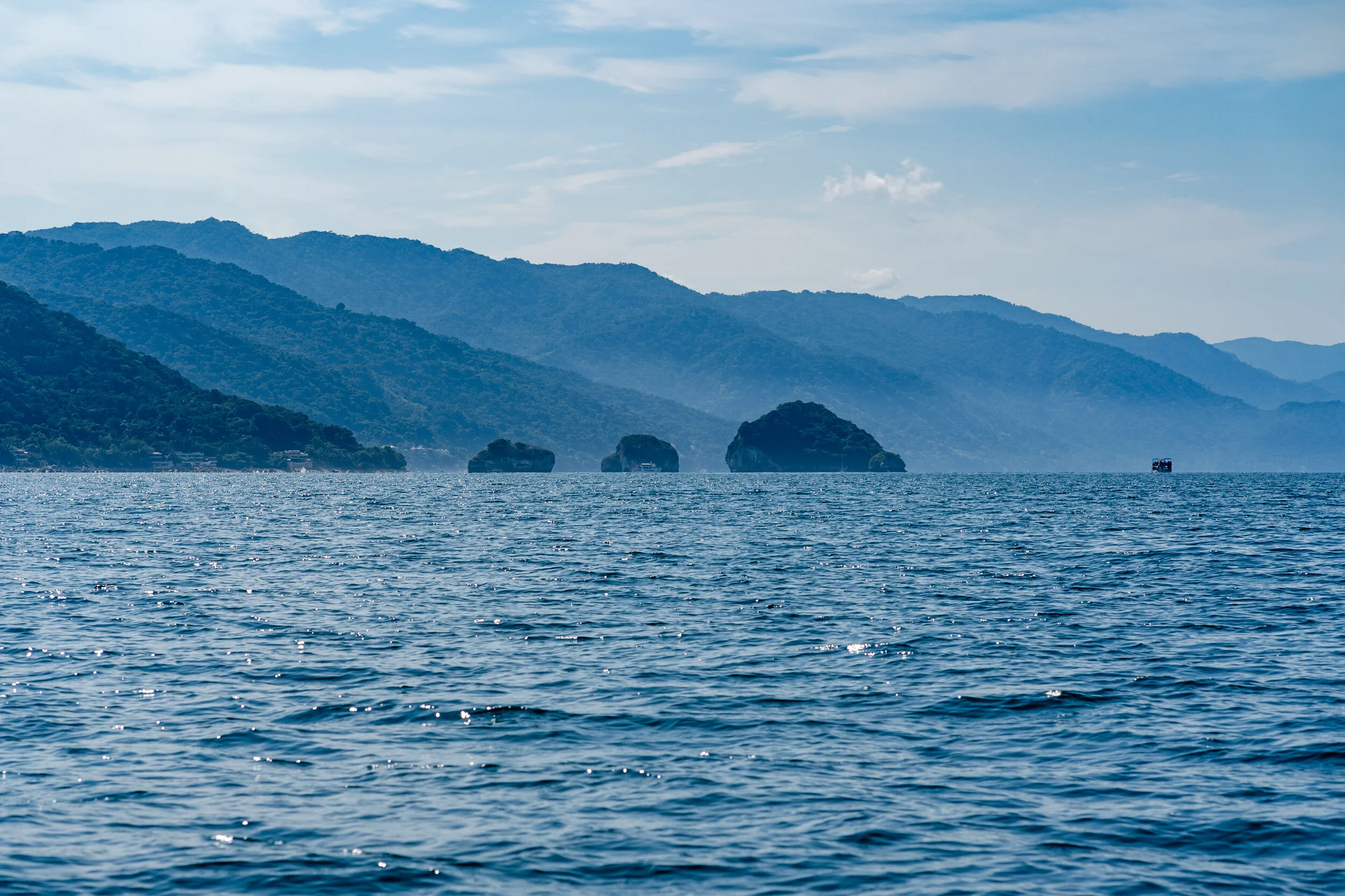 Puerto Vallarta Day 2 (8 of 31).jpg