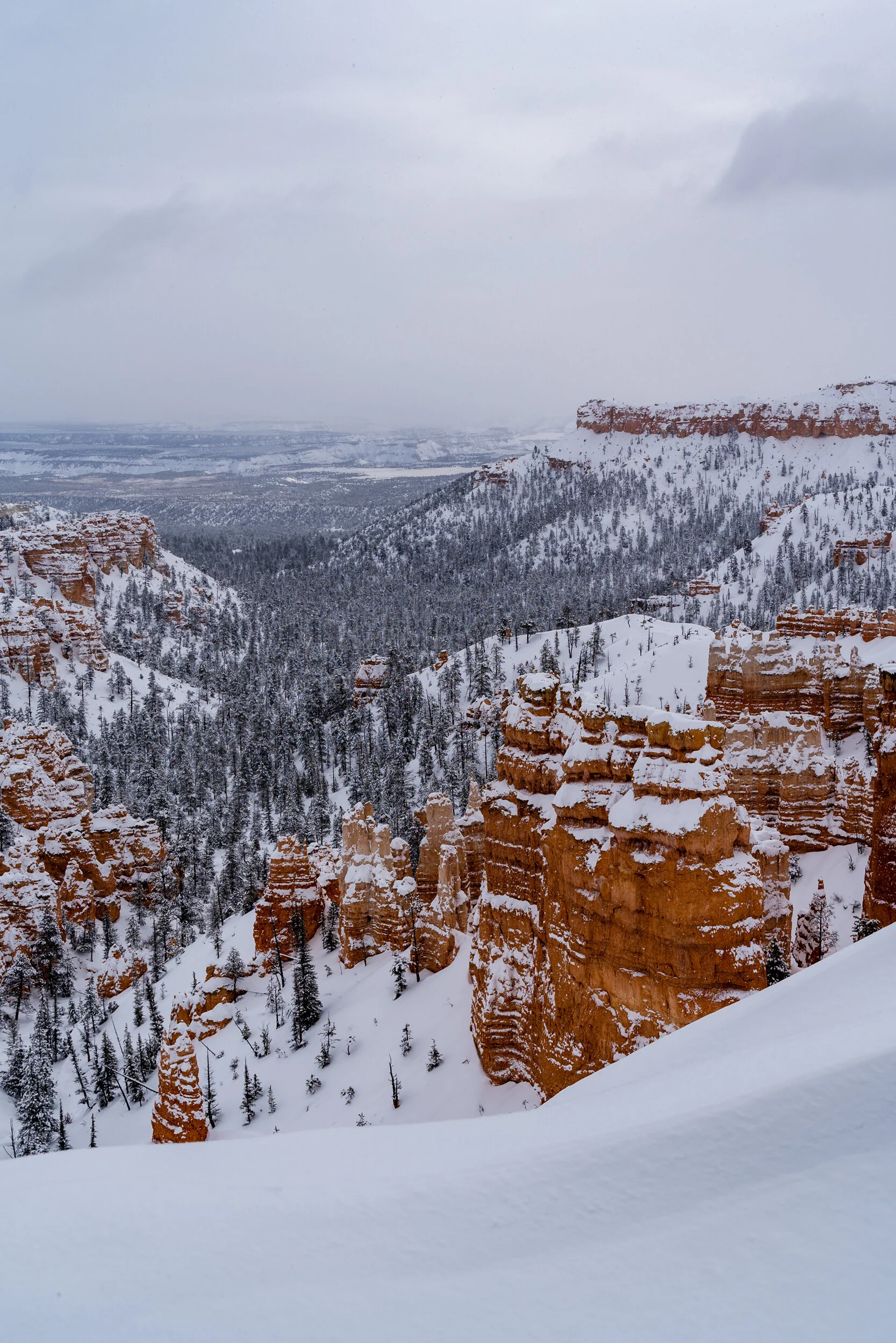 Zion-bryce (20 of 61).jpg