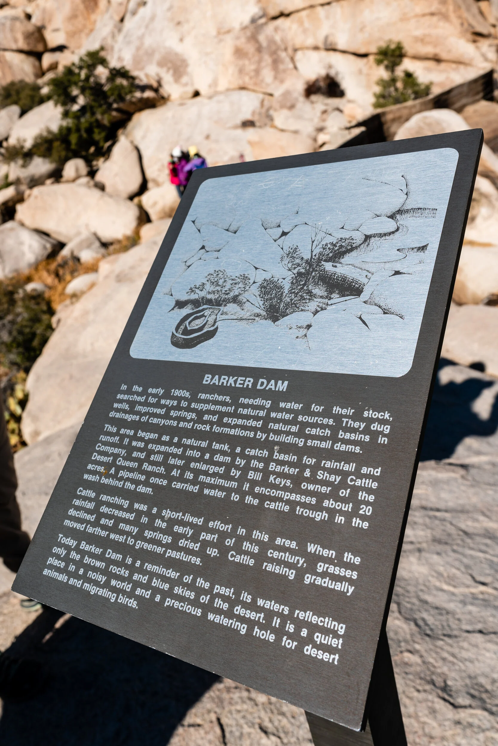 Barker Dam Trail (1 of 5).jpg