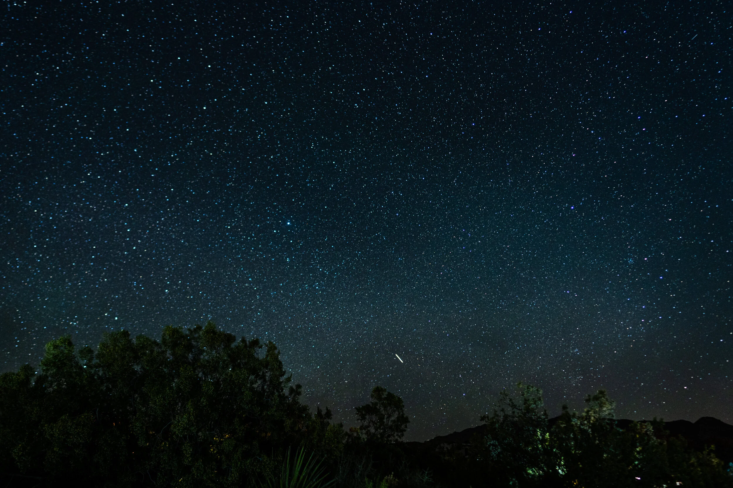 Joshua Tree (29 of 32).jpg