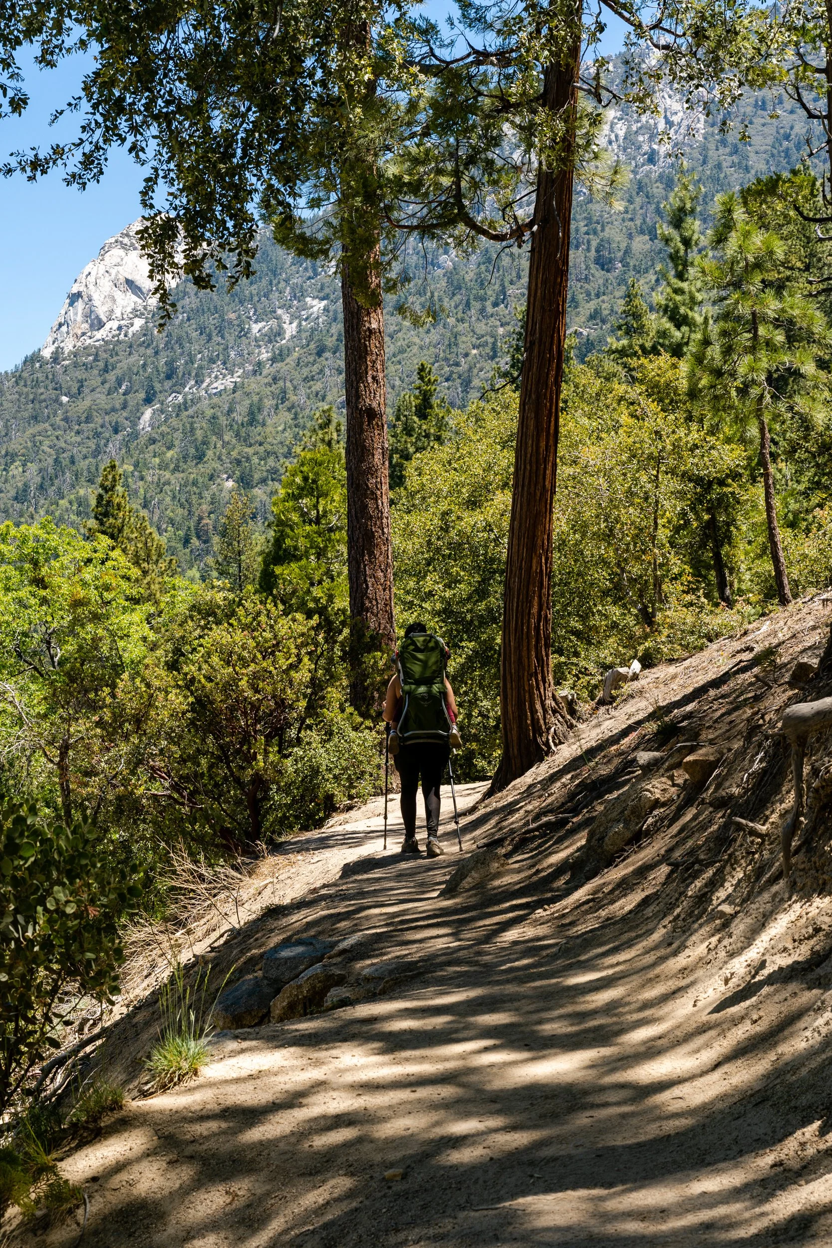 Idyllwild May 2021 (7 of 26).jpg