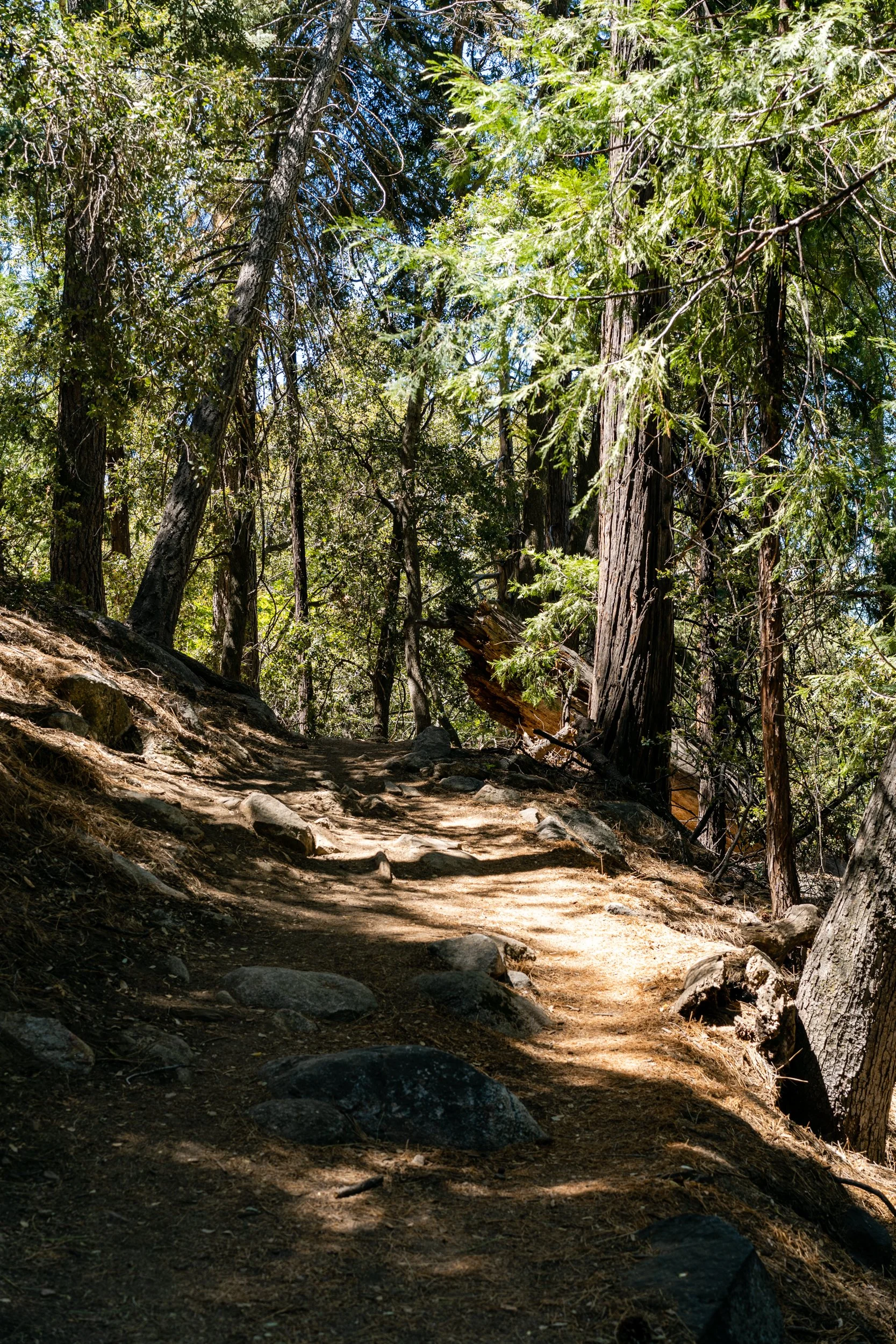 Idyllwild May 2021 (6 of 26).jpg