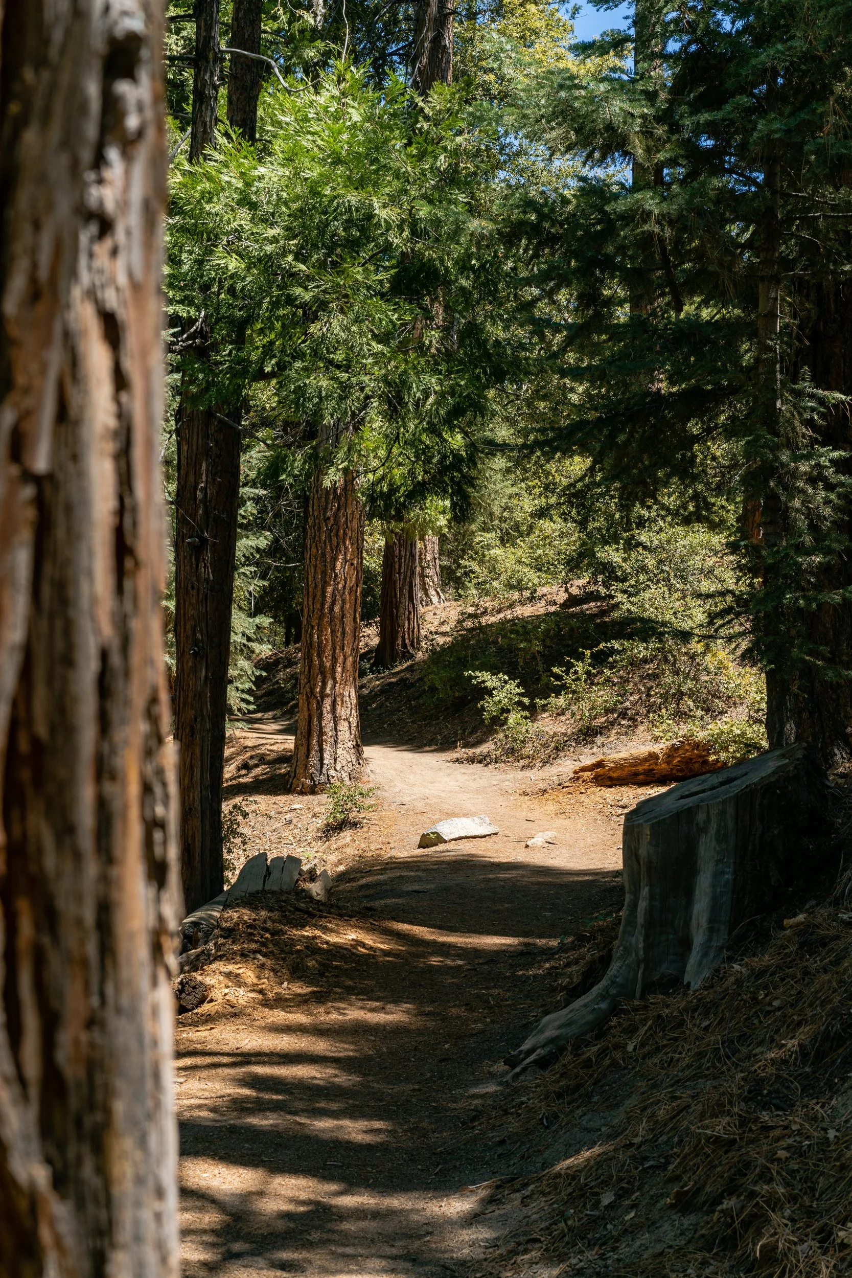Idyllwild May 2021 (8 of 26).jpg