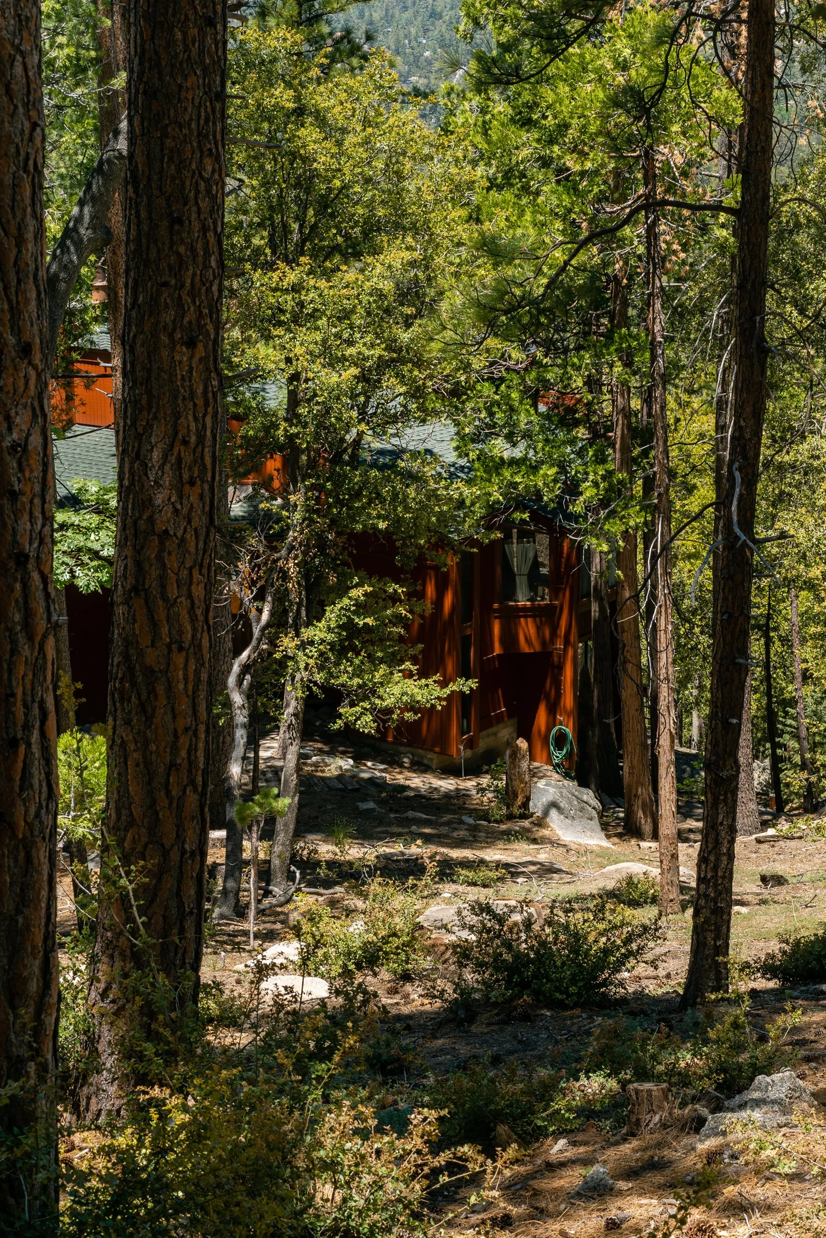 Idyllwild May 2021 (9 of 26).jpg