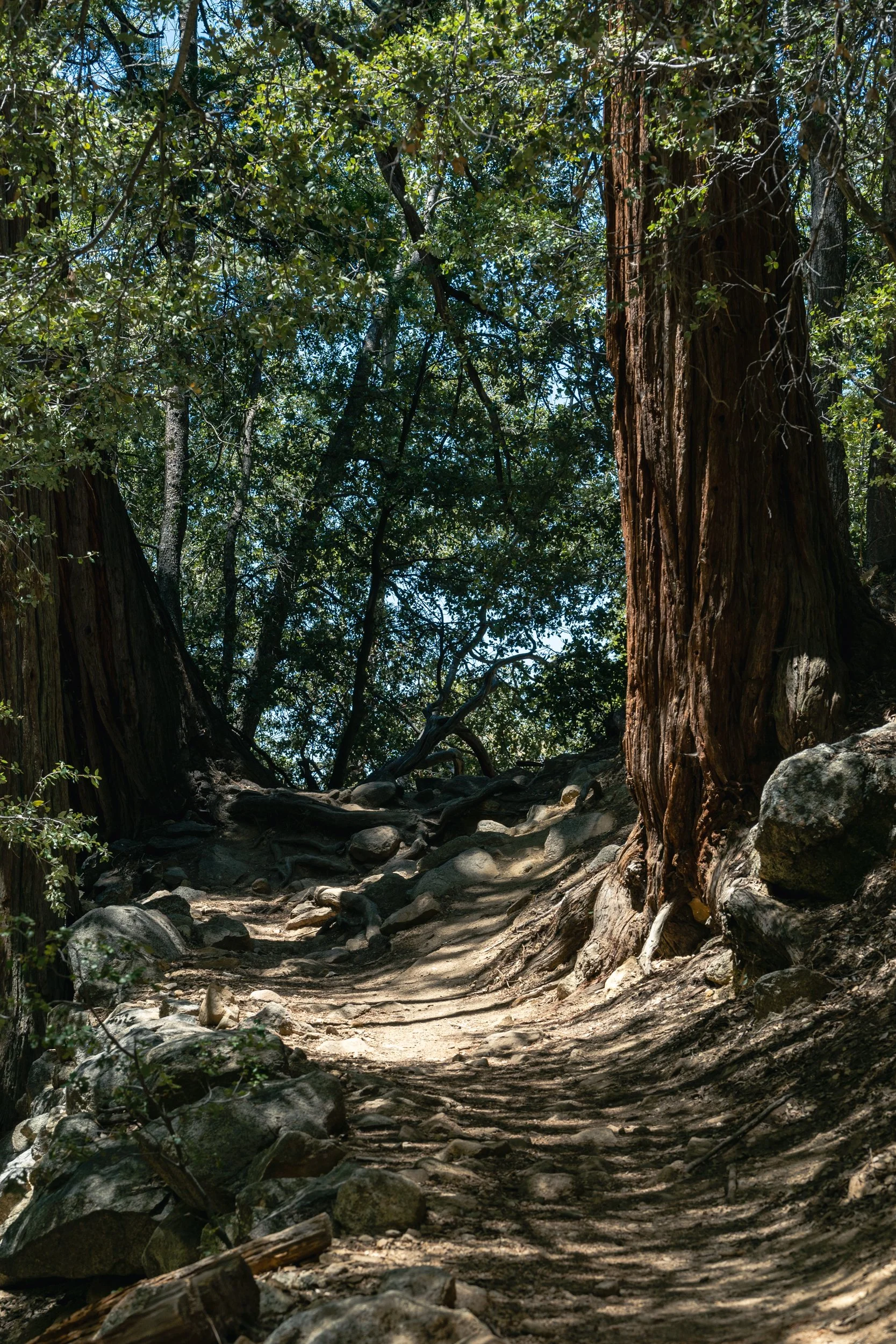 Idyllwild May 2021 (13 of 26).jpg